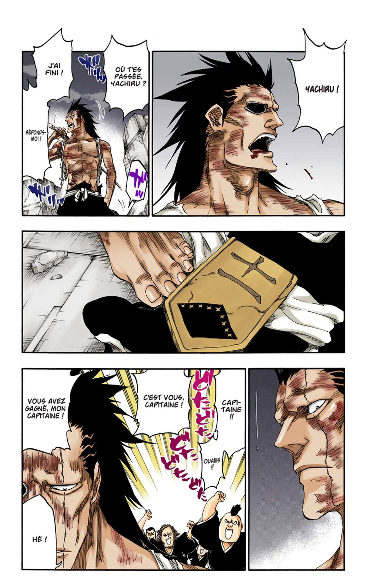 Read Bleach FR Manga Online