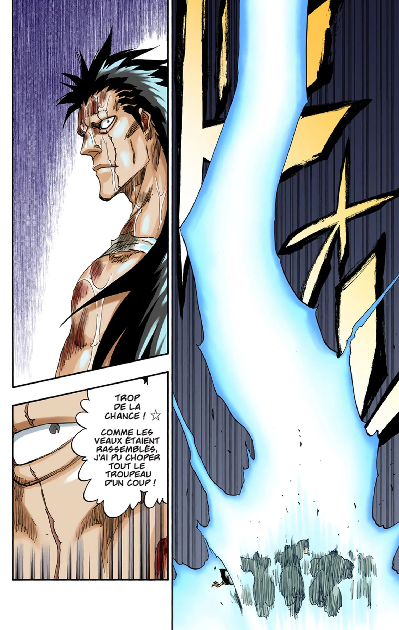 Read Bleach FR Manga Online