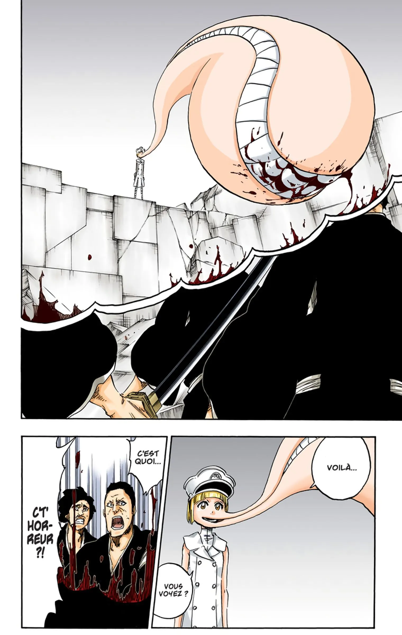 Read Bleach FR Manga Online