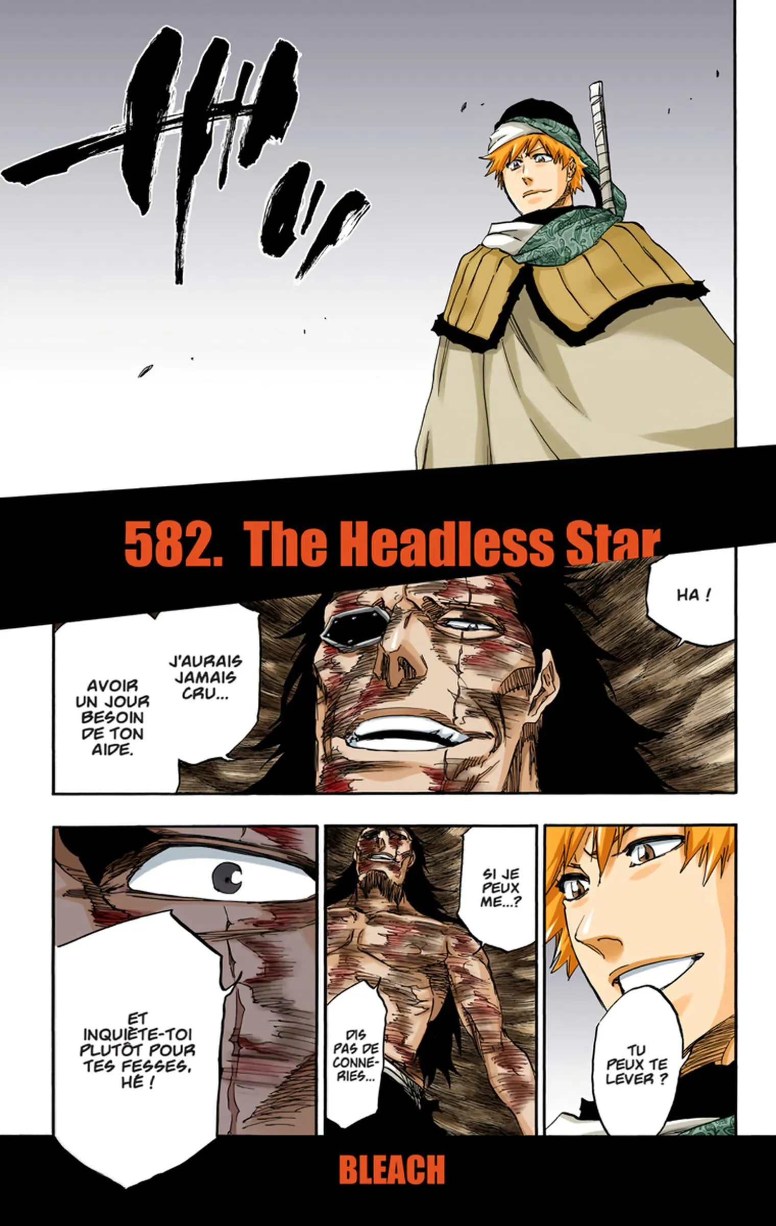 Read Bleach FR Manga Online