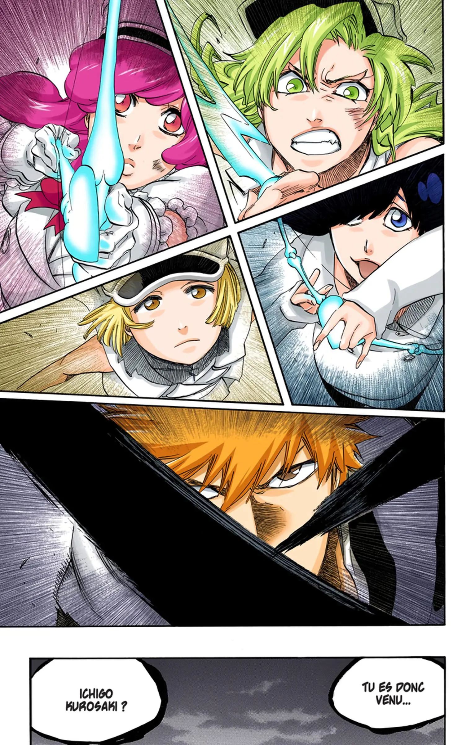 Read Bleach FR Manga Online