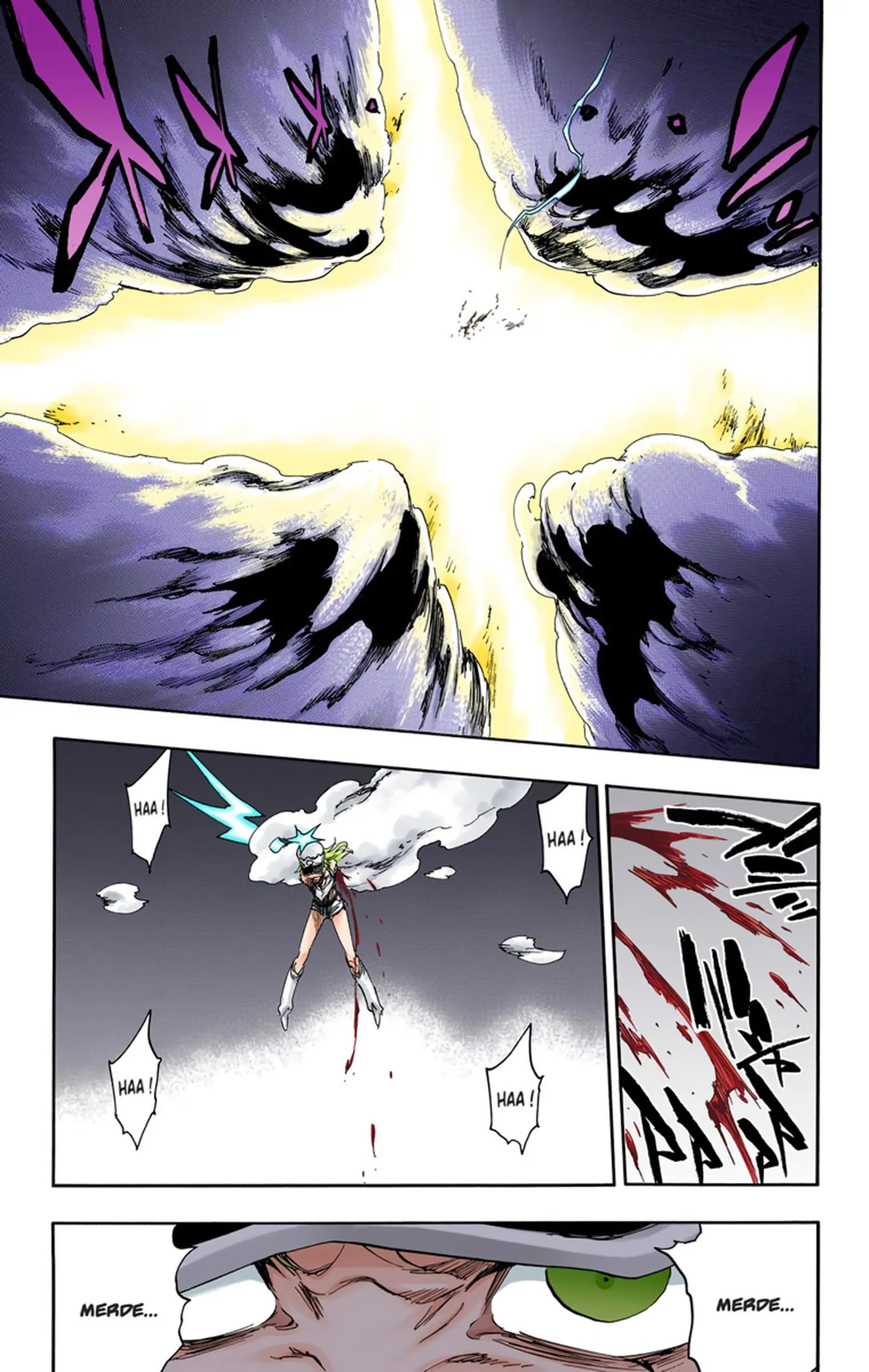 Read Bleach FR Manga Online