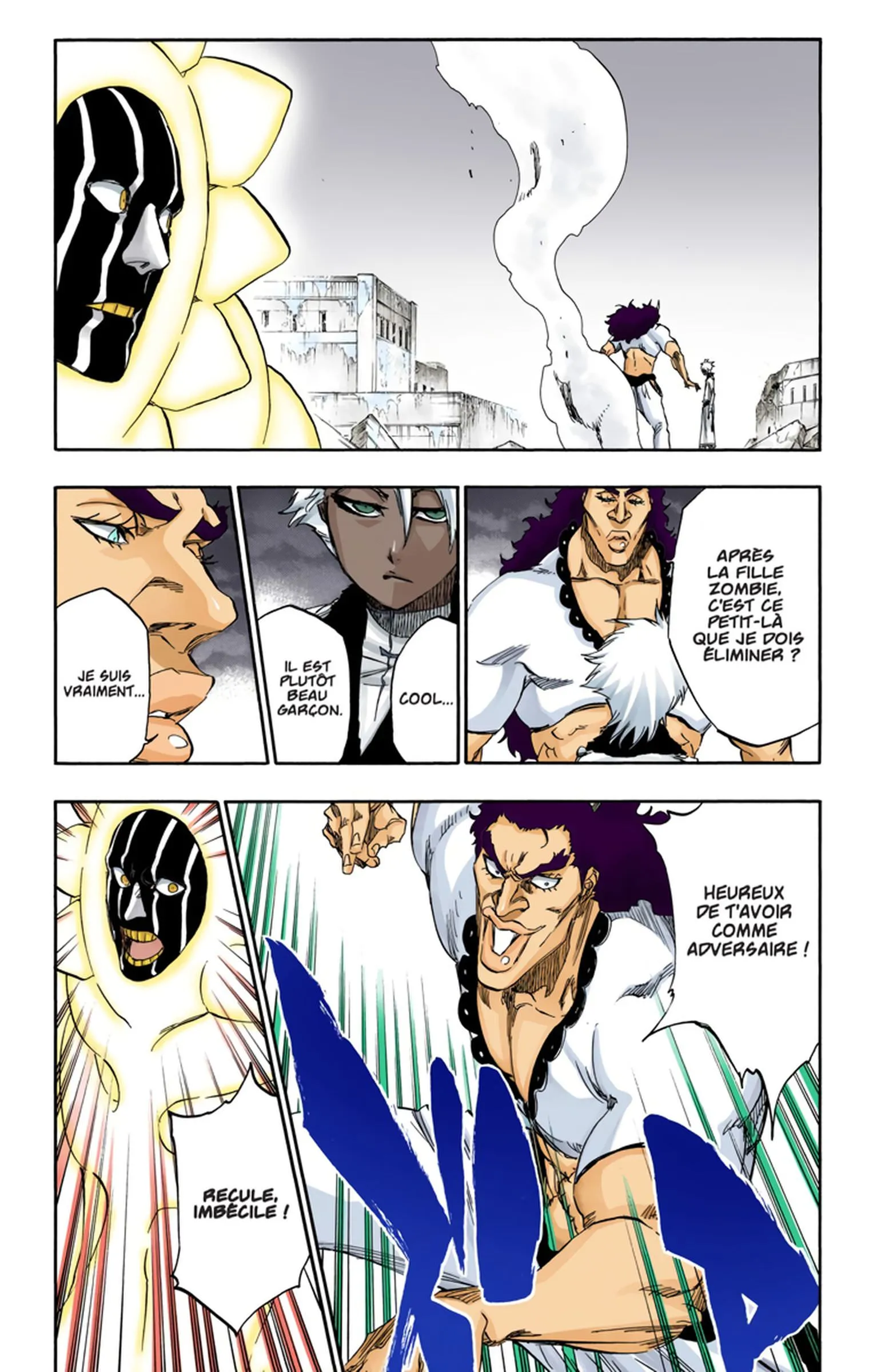 Read Bleach FR Manga Online