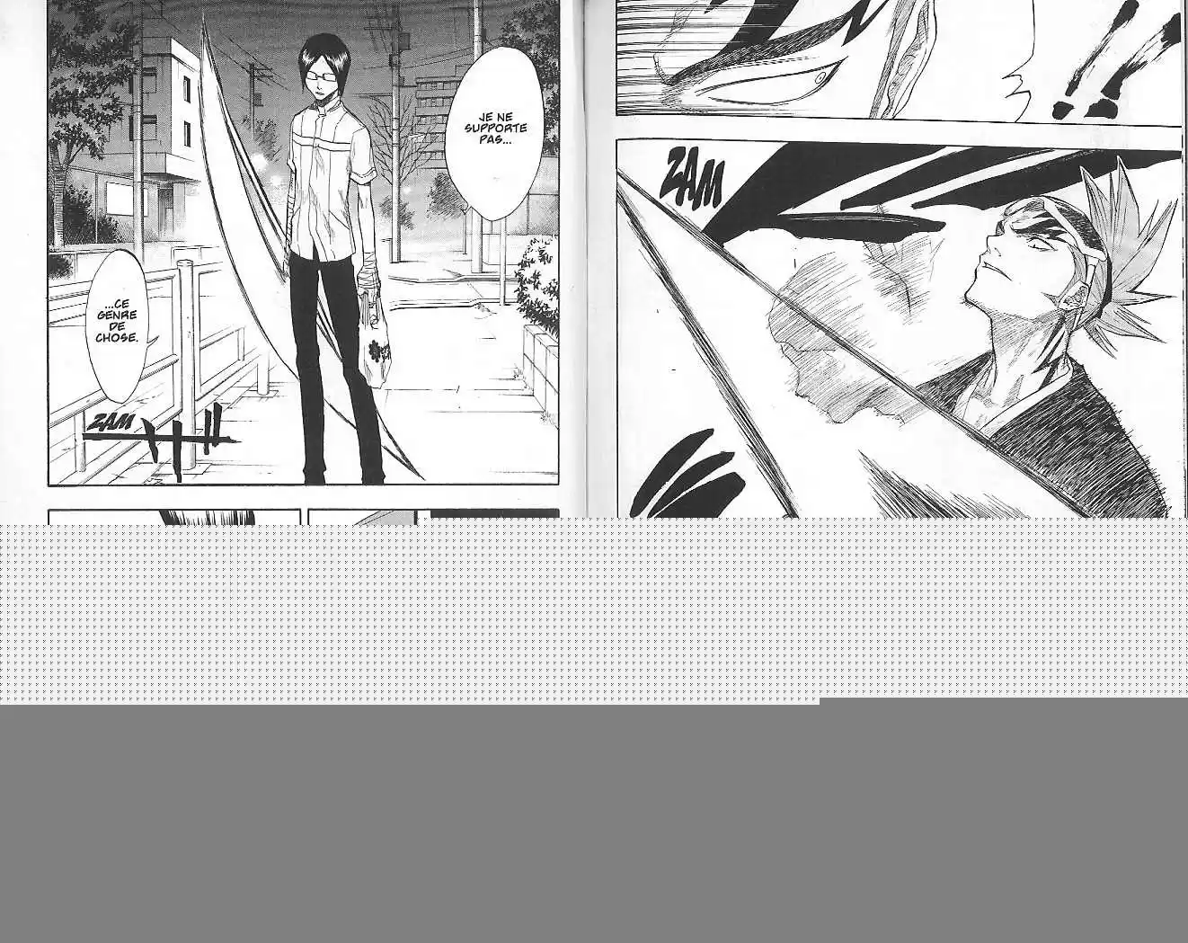 Read Bleach FR Manga Online