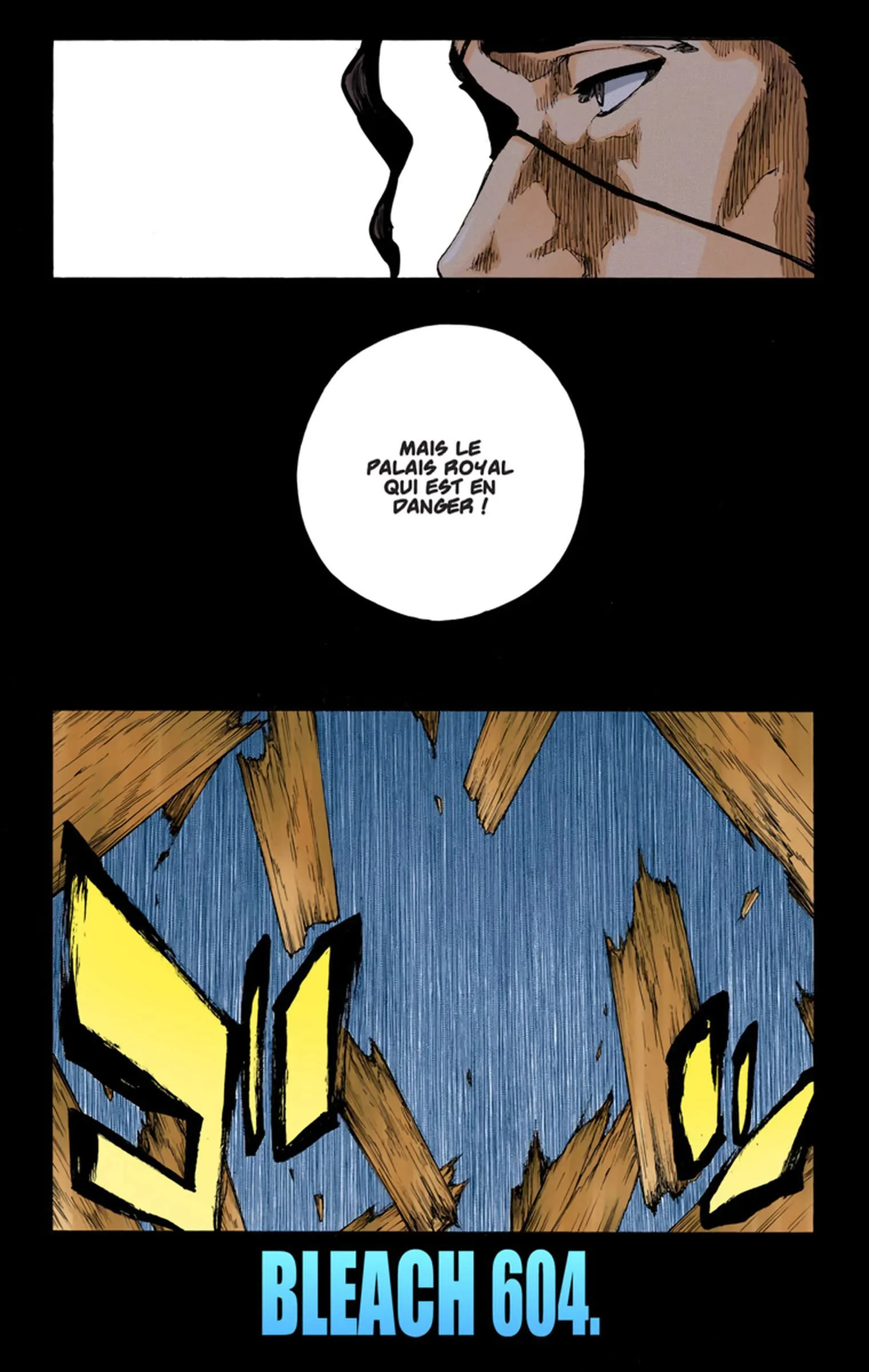 Read Bleach FR Manga Online