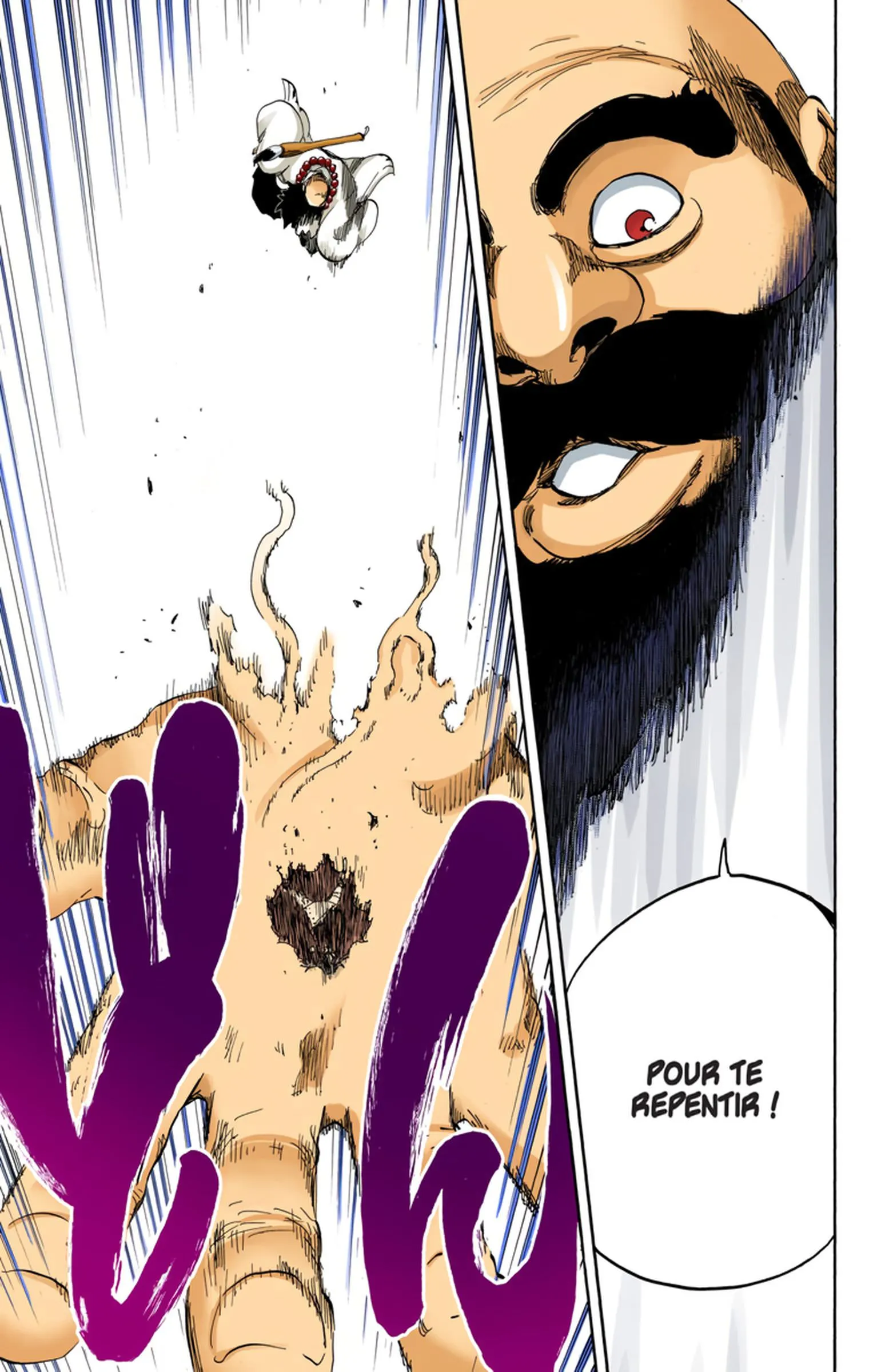 Read Bleach FR Manga Online