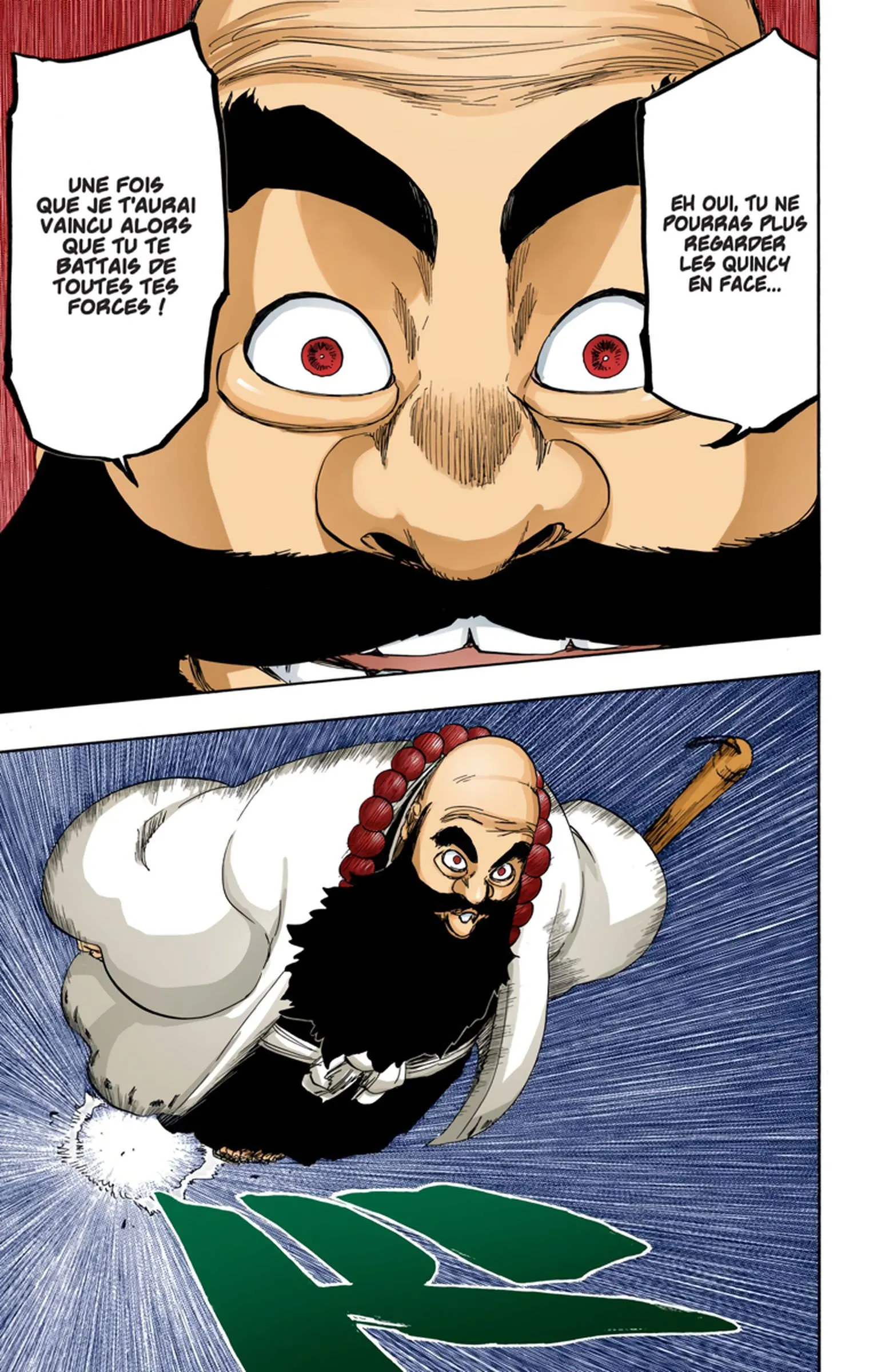 Read Bleach FR Manga Online