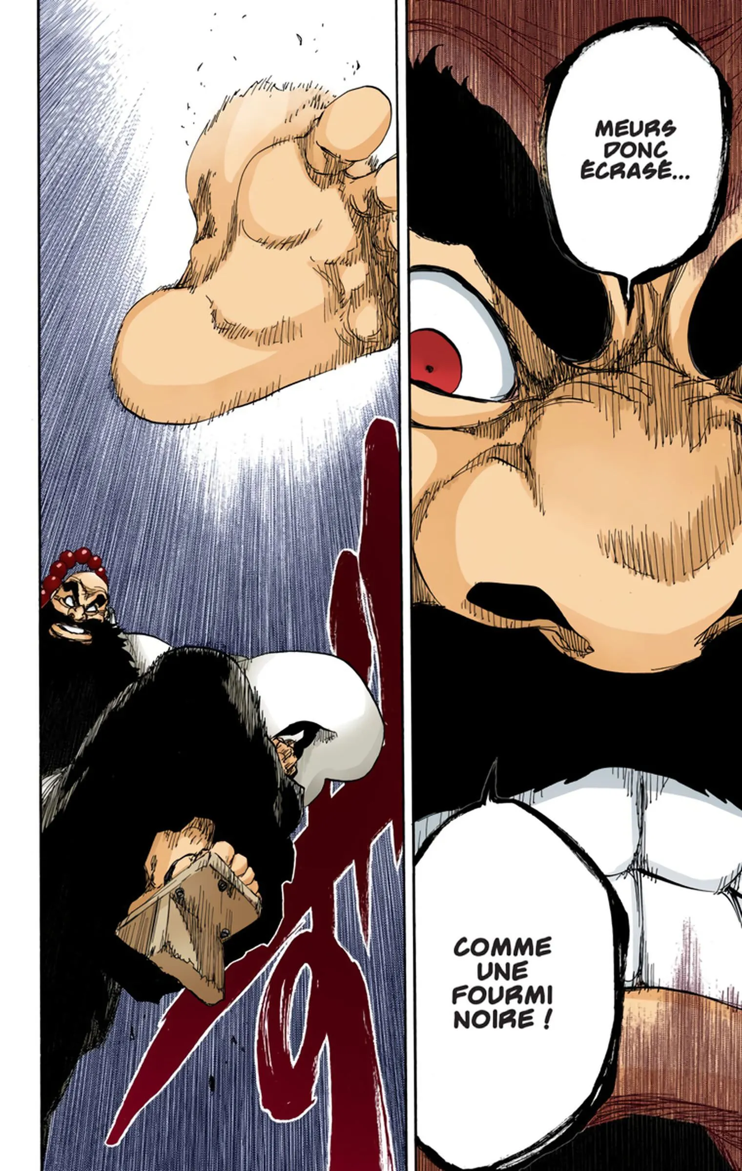 Read Bleach FR Manga Online