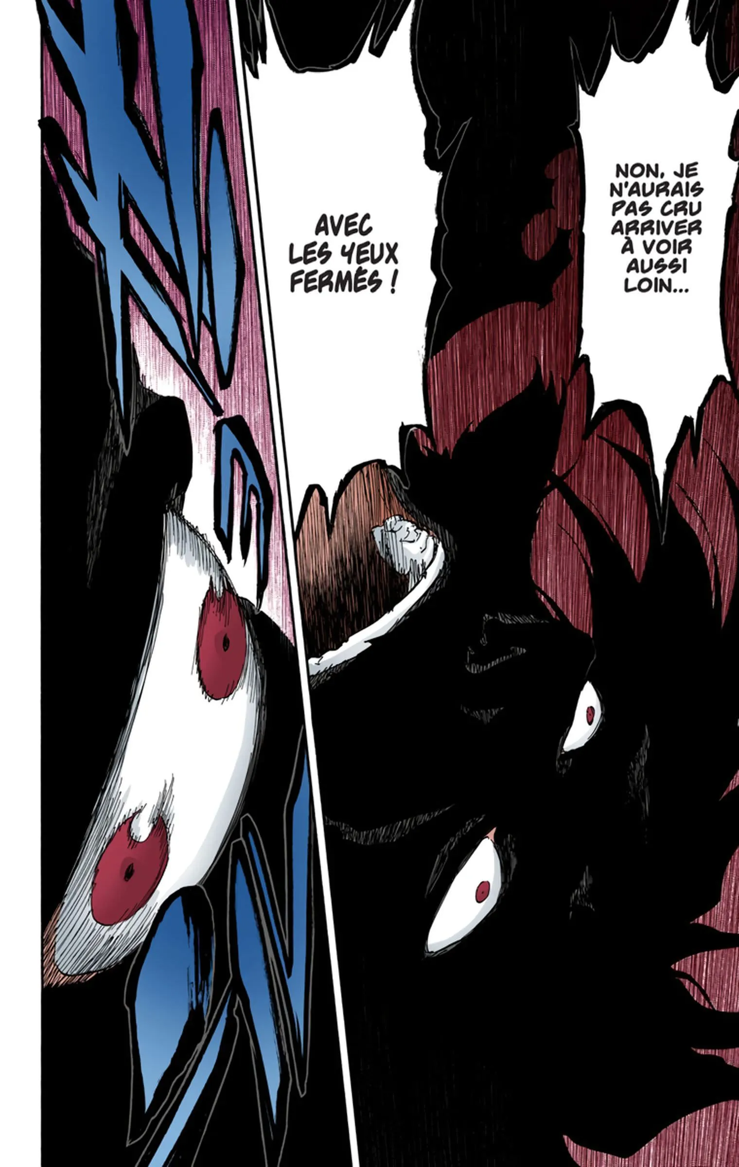 Read Bleach FR Manga Online