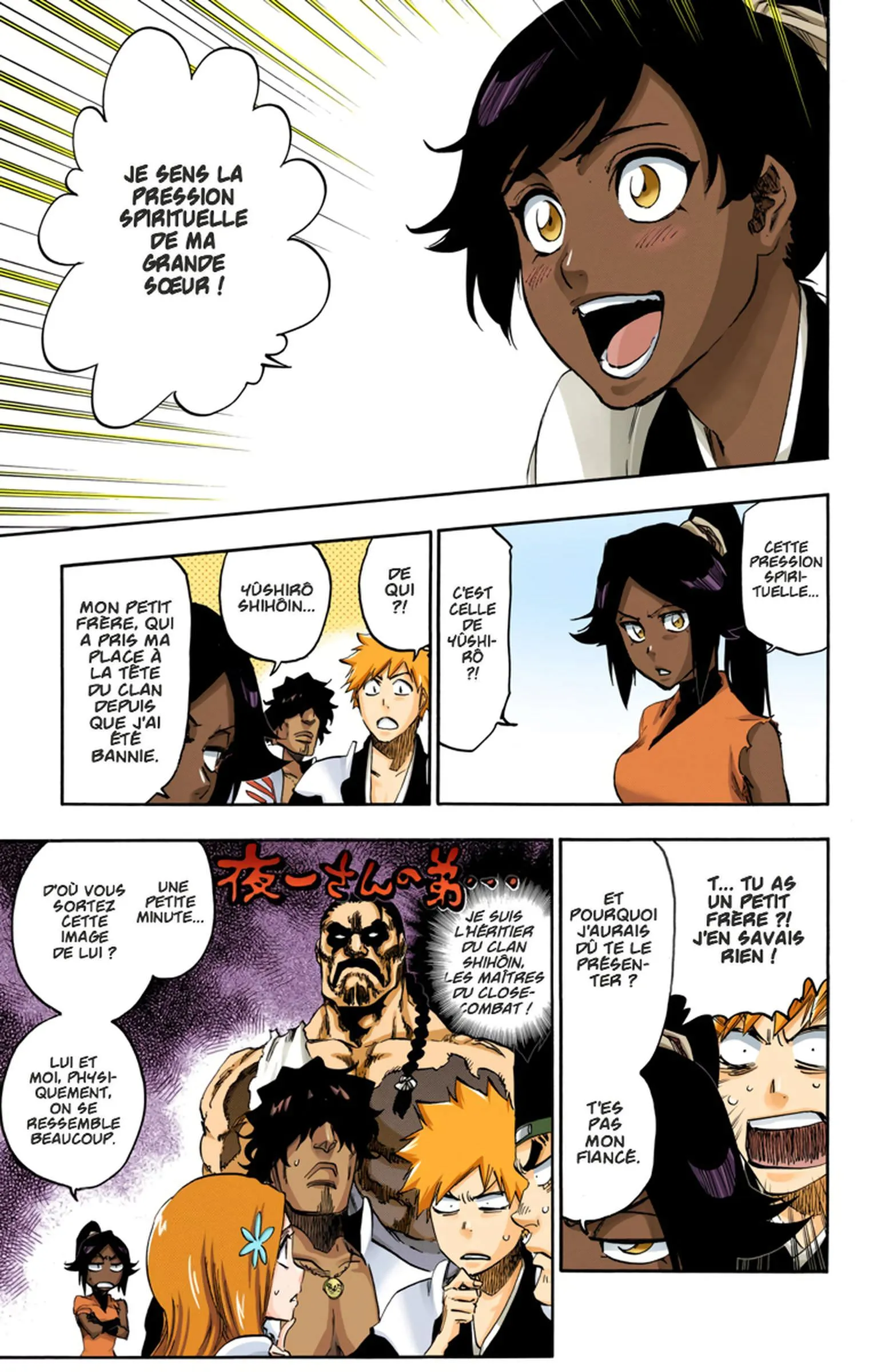 Read Bleach FR Manga Online