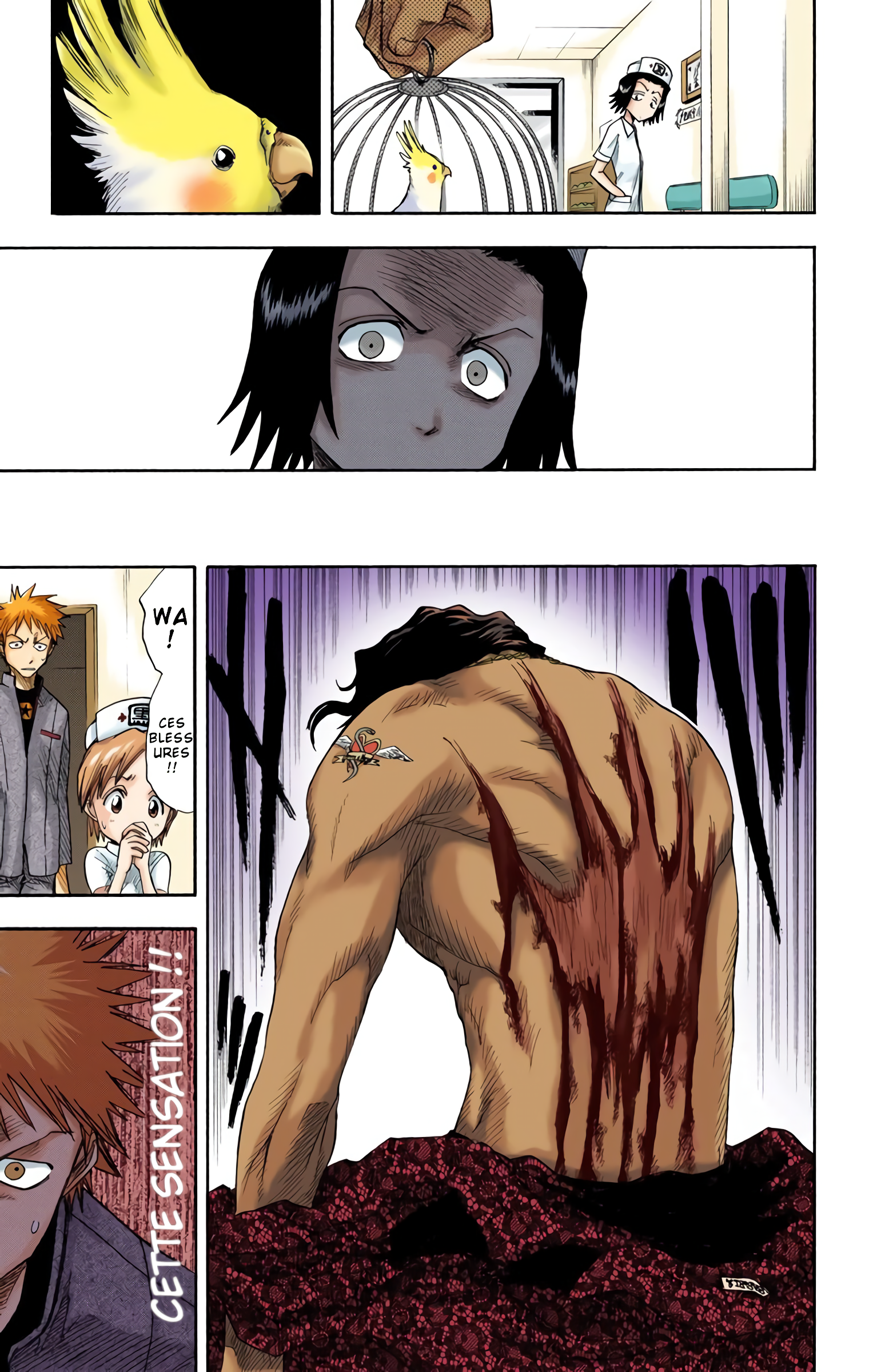 Read Bleach FR Manga Online