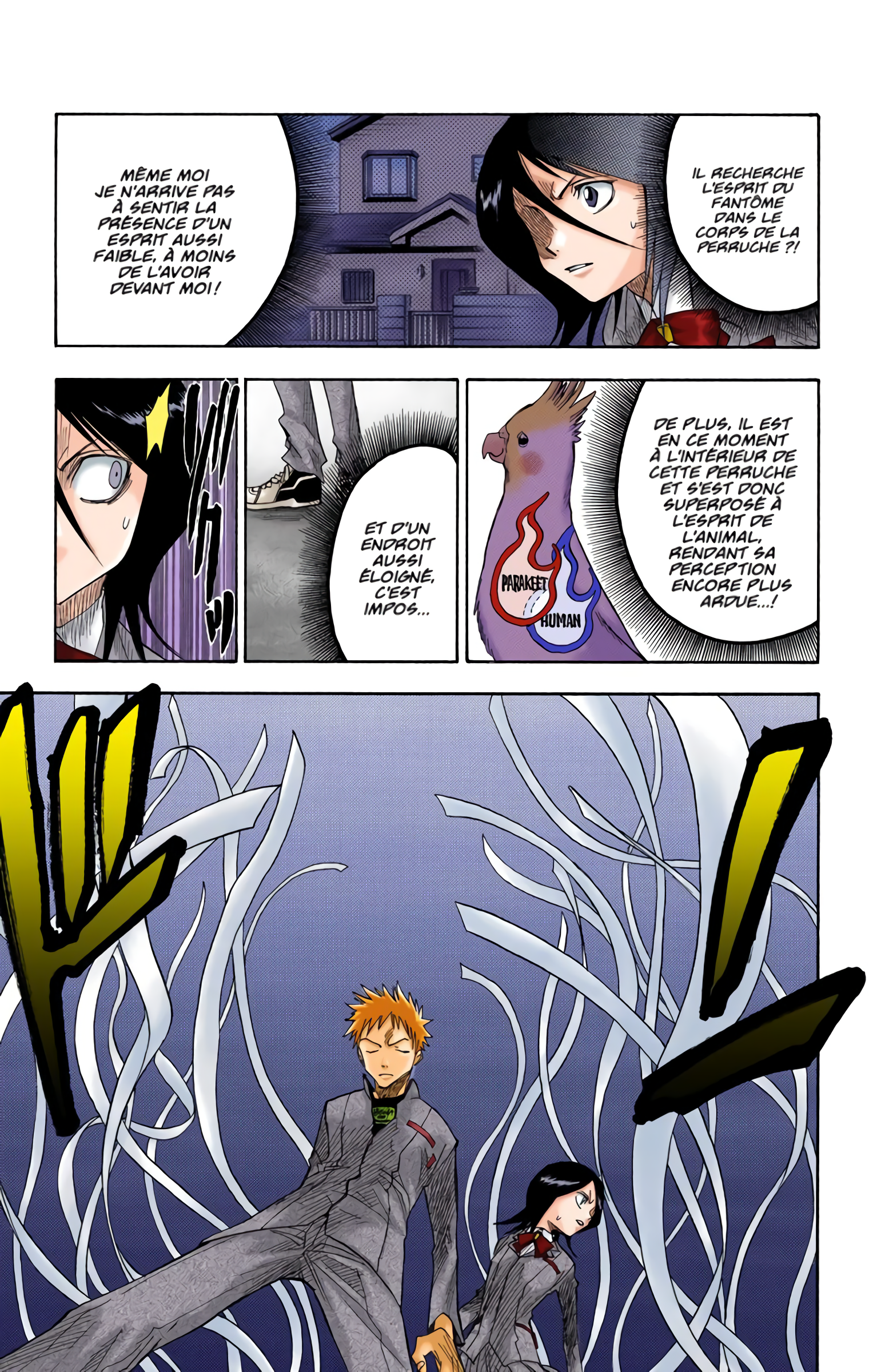 Read Bleach FR Manga Online