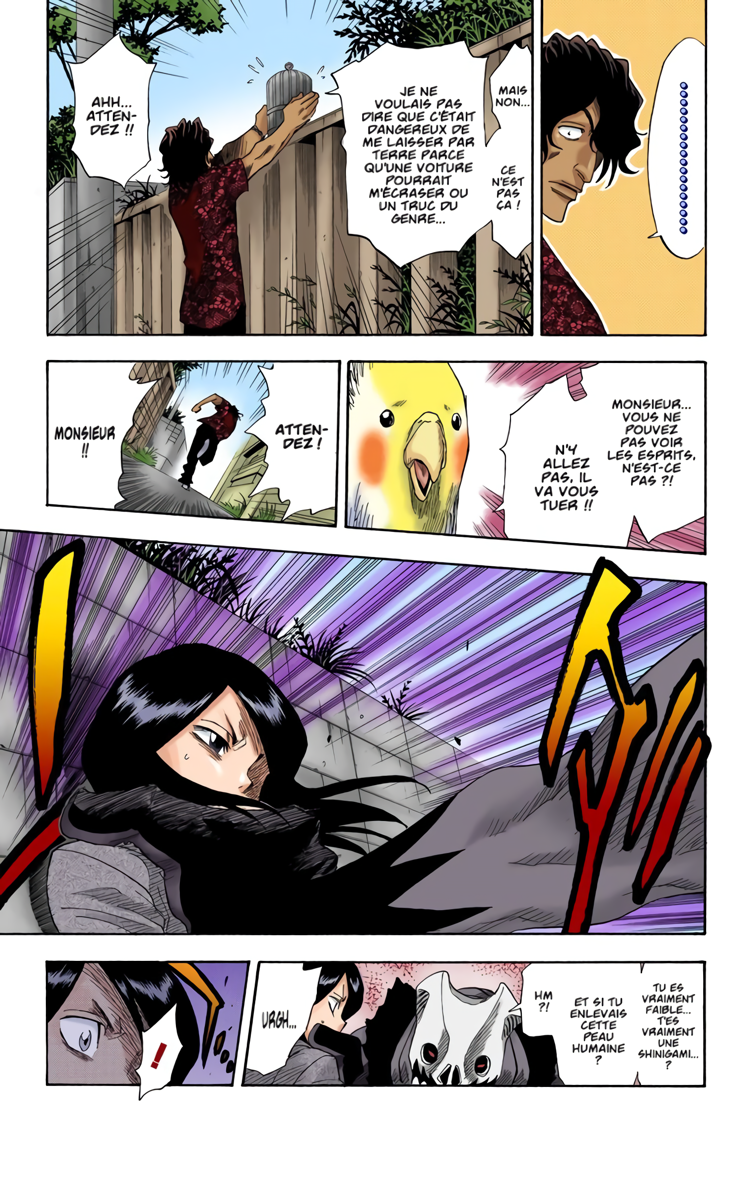 Read Bleach FR Manga Online