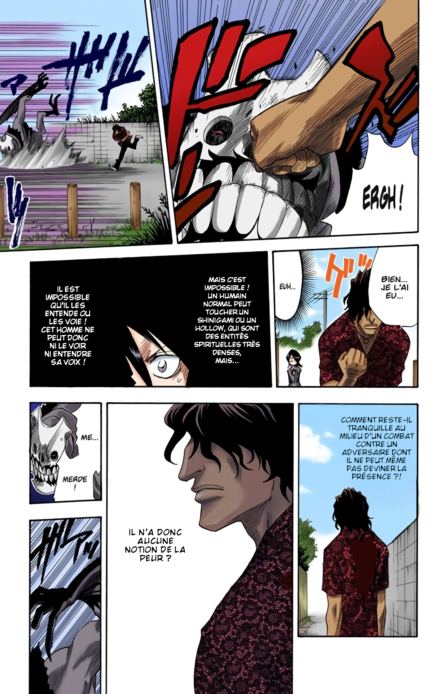 Read Bleach FR Manga Online
