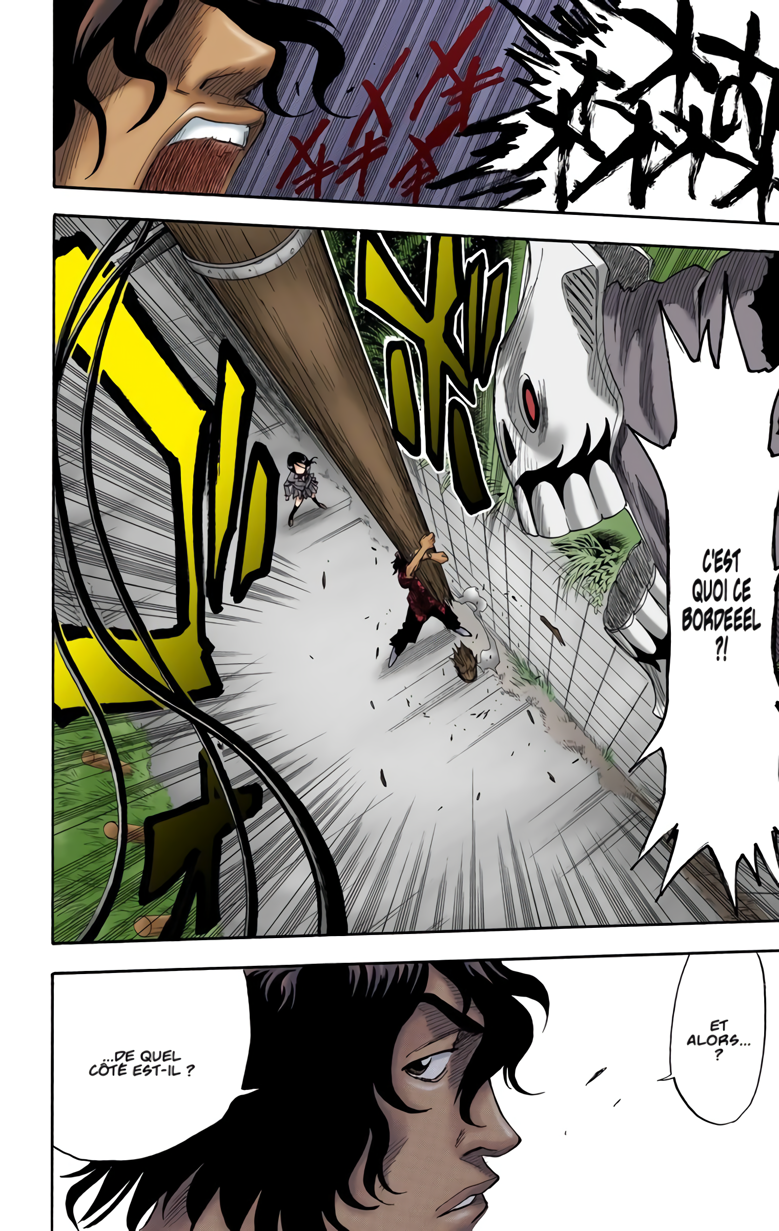 Read Bleach FR Manga Online