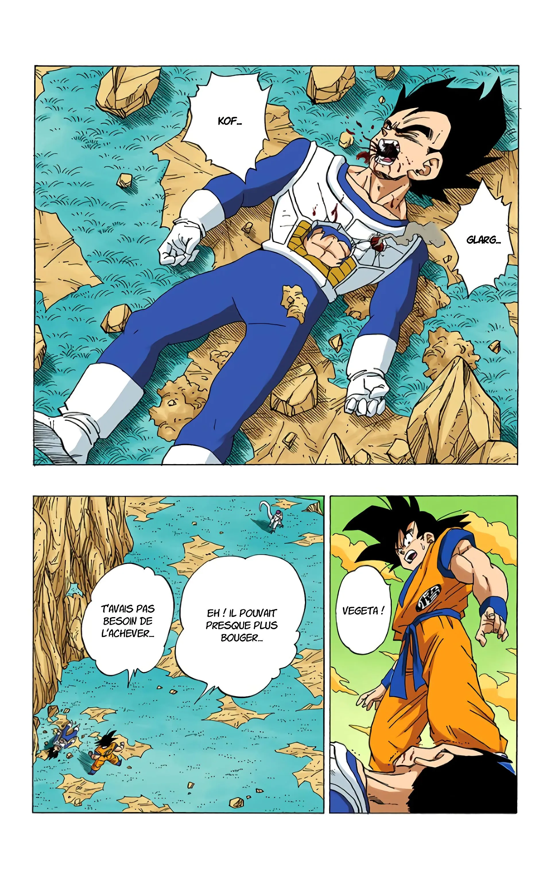 Read Dragon Ball FR Manga Online