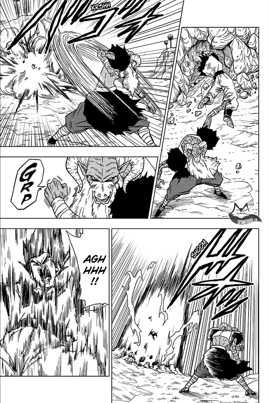 Read Dragon Ball Super FR Manga Online