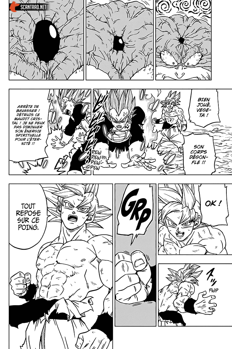 Read Dragon Ball Super FR Manga Online