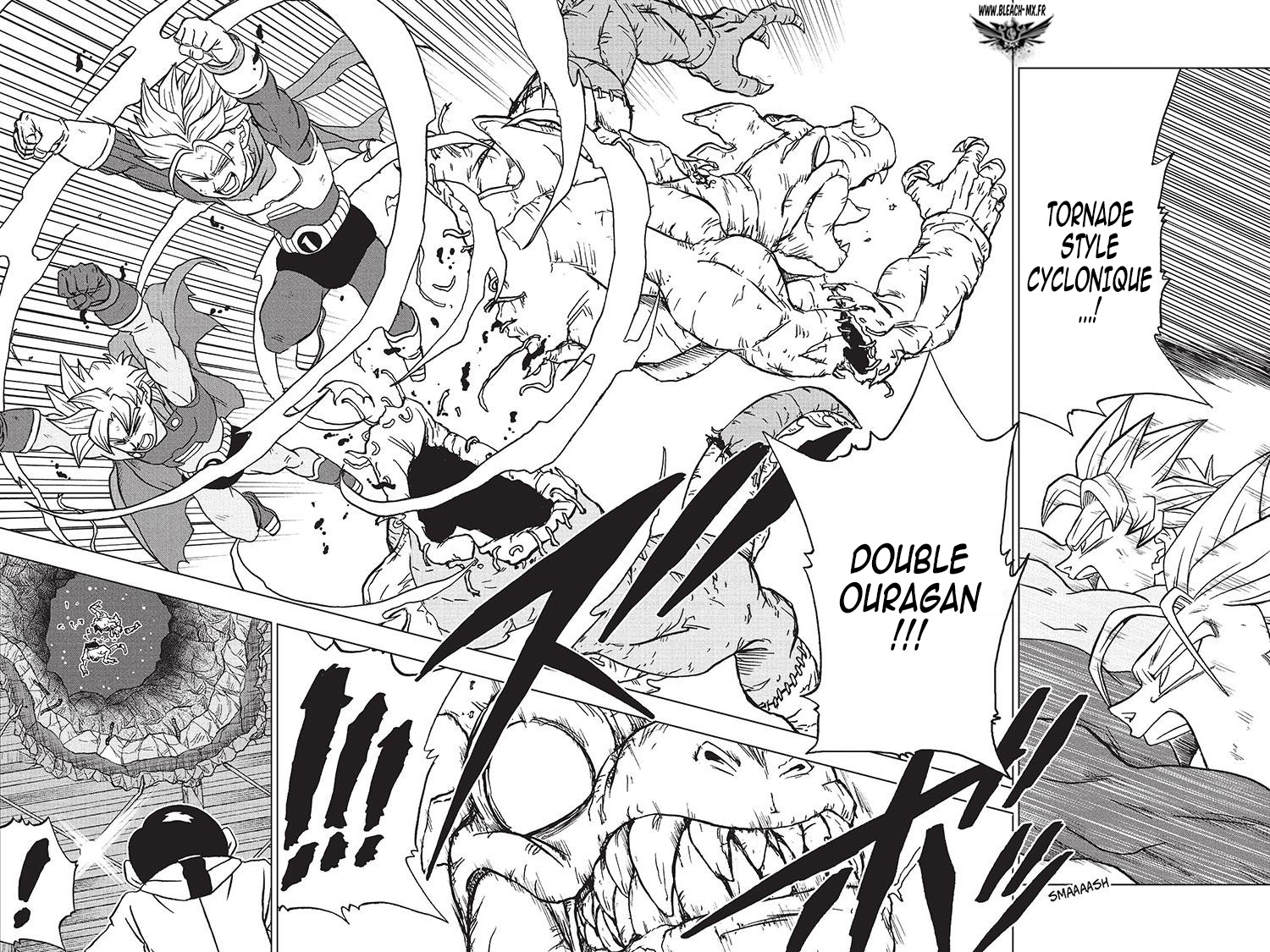 Read Dragon Ball Super FR Manga Online