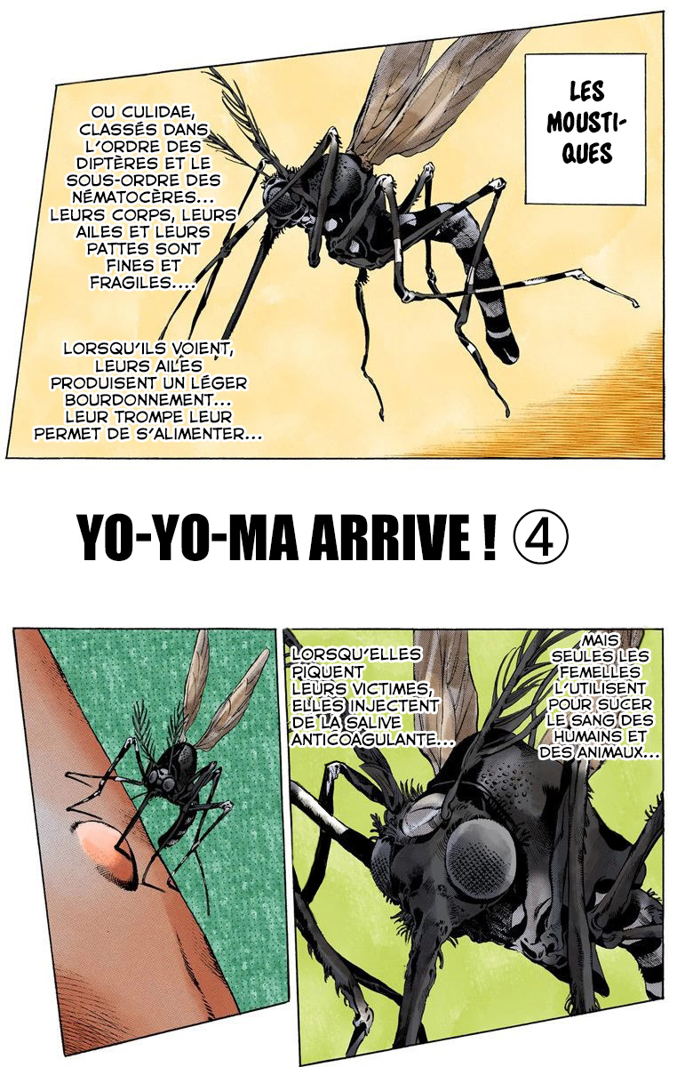 Read JoJo_s Bizarre Adventure Part 6 Stone Ocean Official Colored FR Manga Online