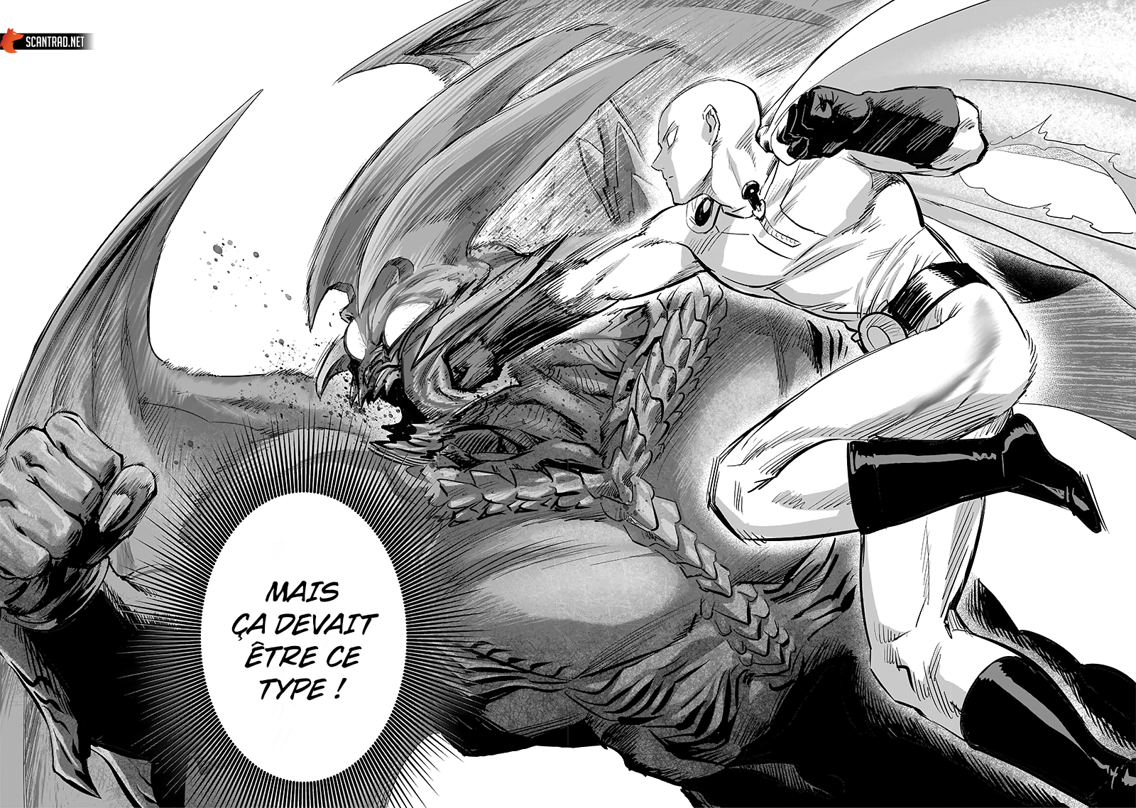 Read One-Punch Man FR Manga Online