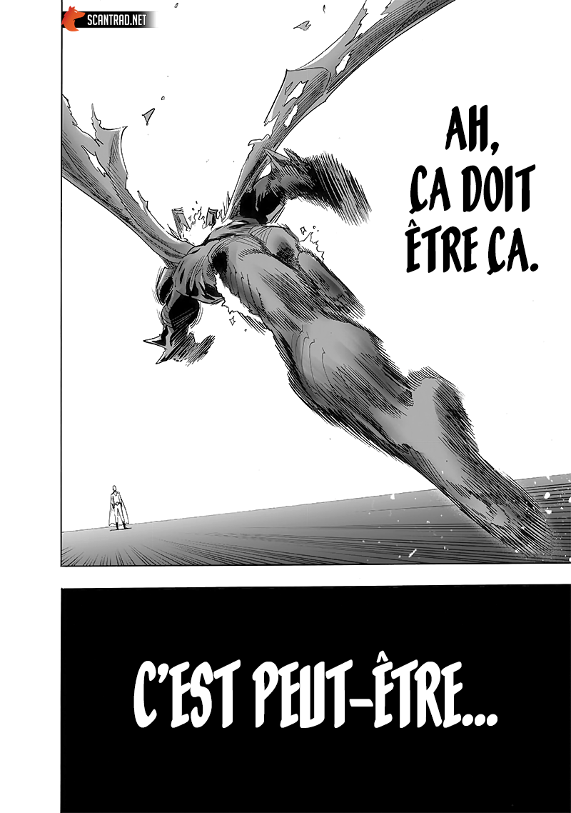 Read One-Punch Man FR Manga Online