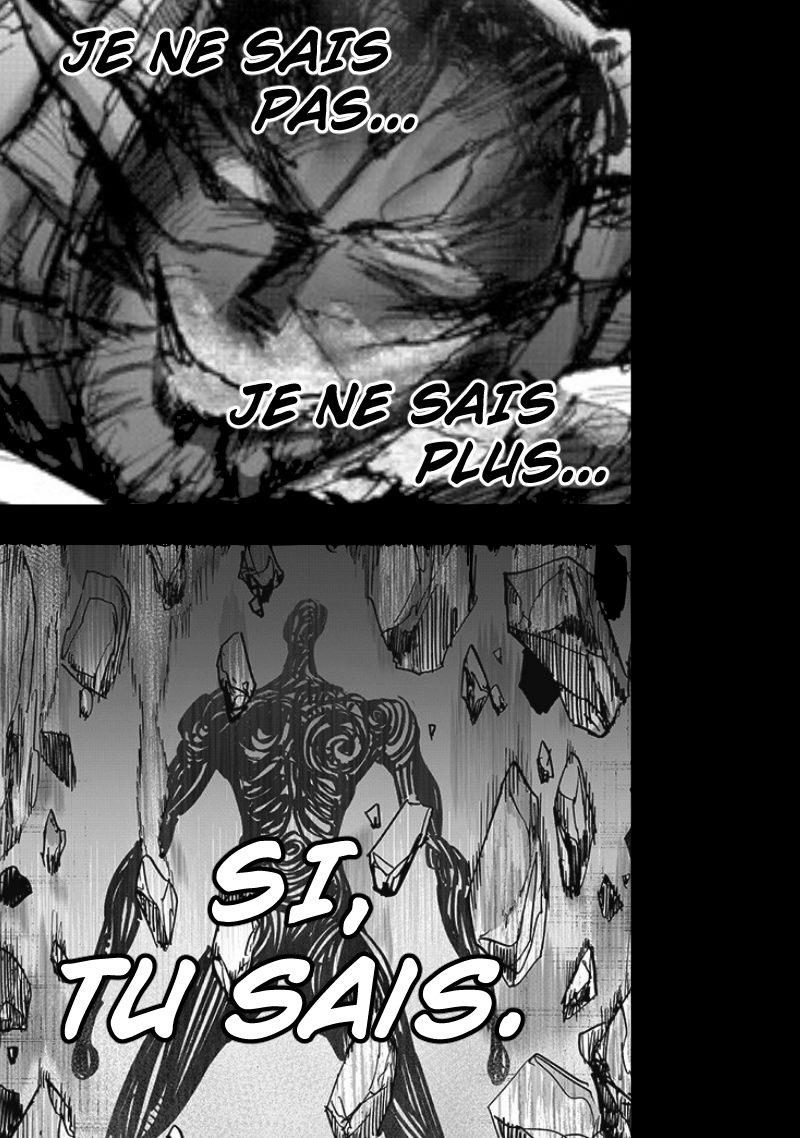 Read One-Punch Man FR Manga Online