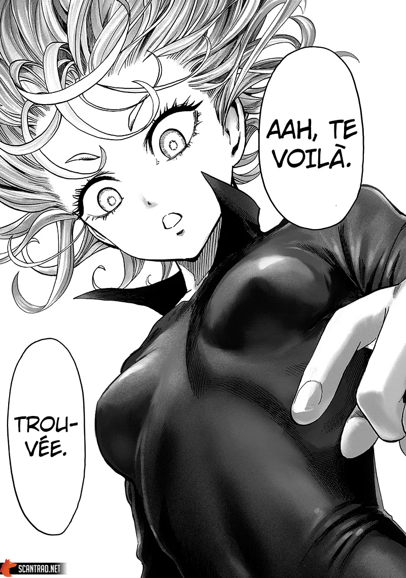 Read One-Punch Man FR Manga Online