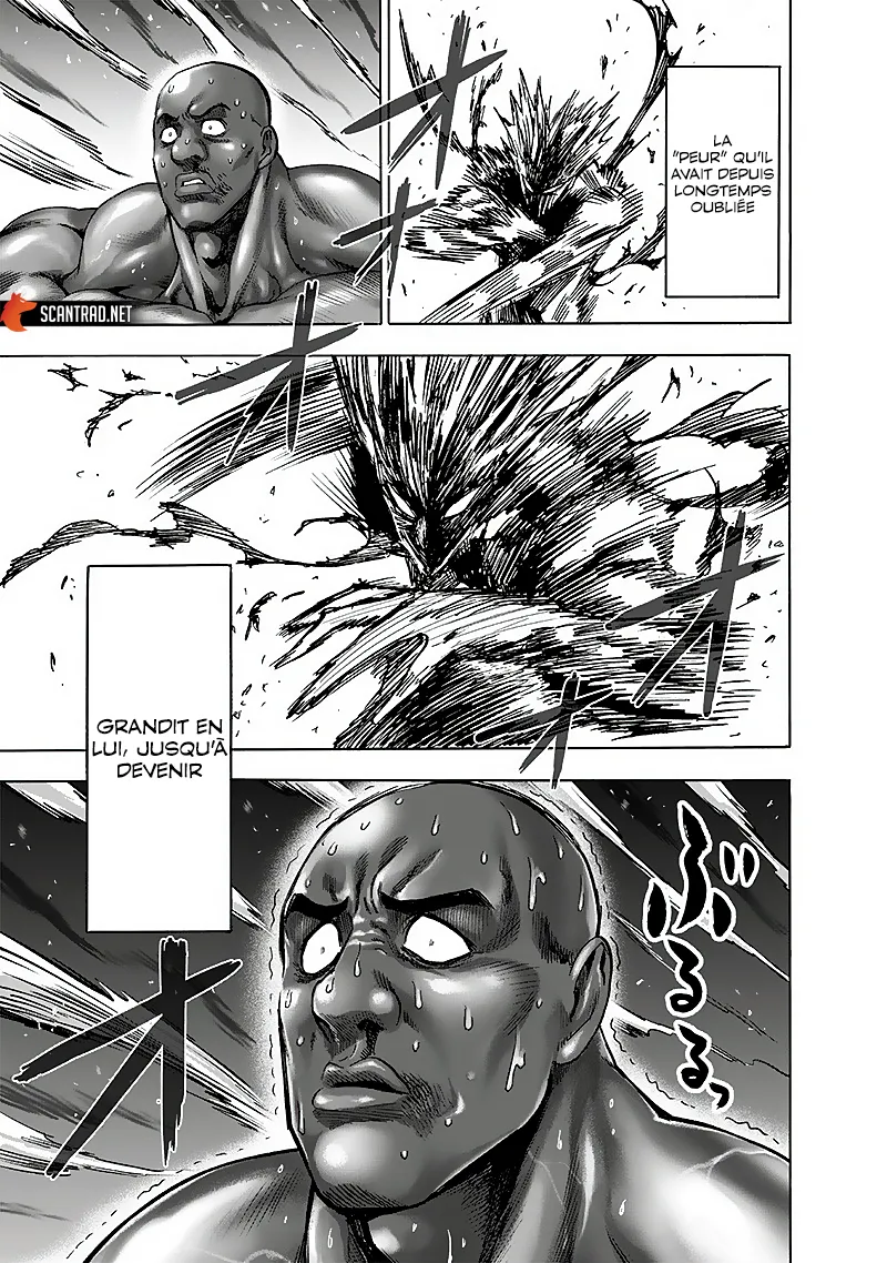 Read One-Punch Man FR Manga Online