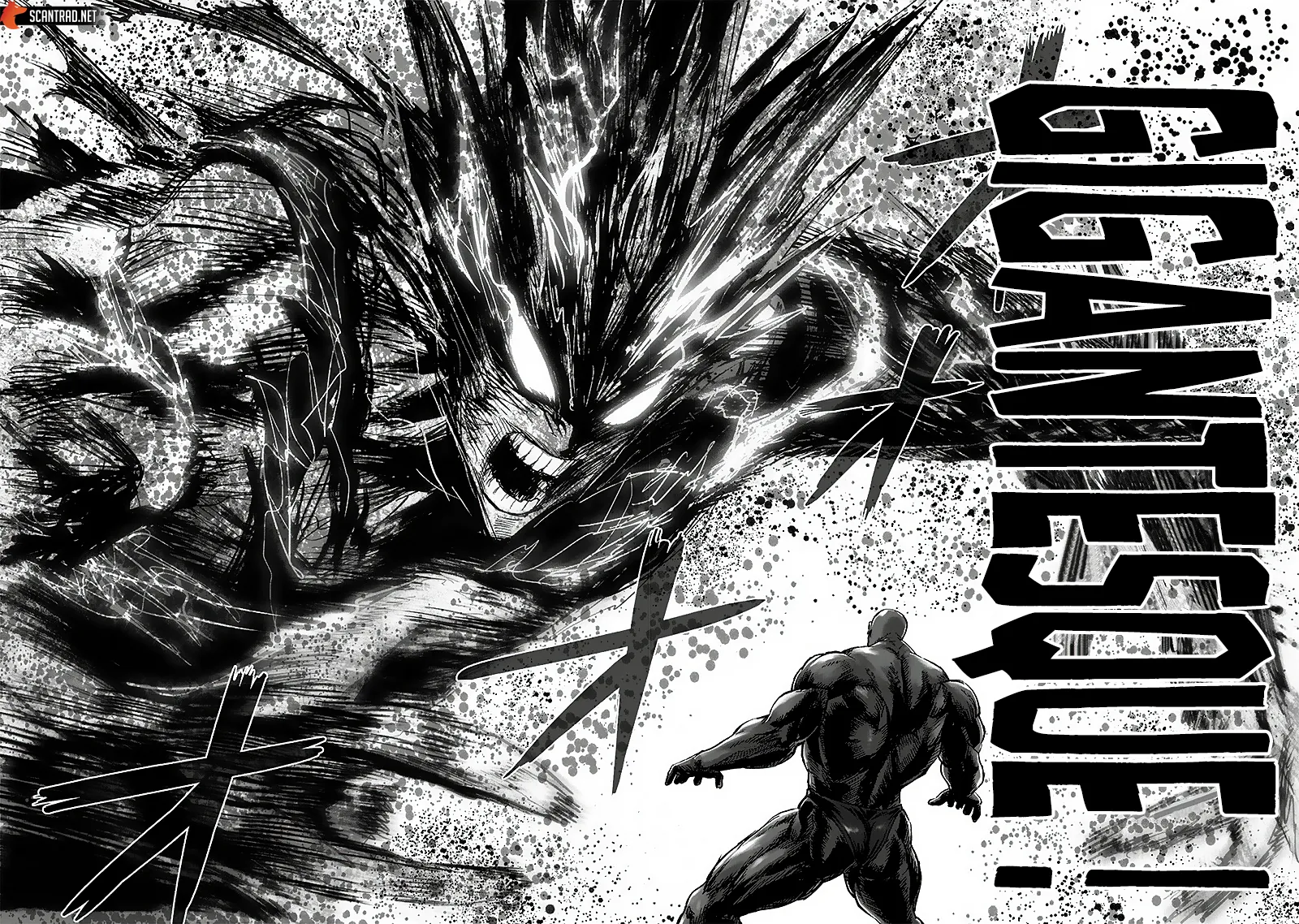Read One-Punch Man FR Manga Online