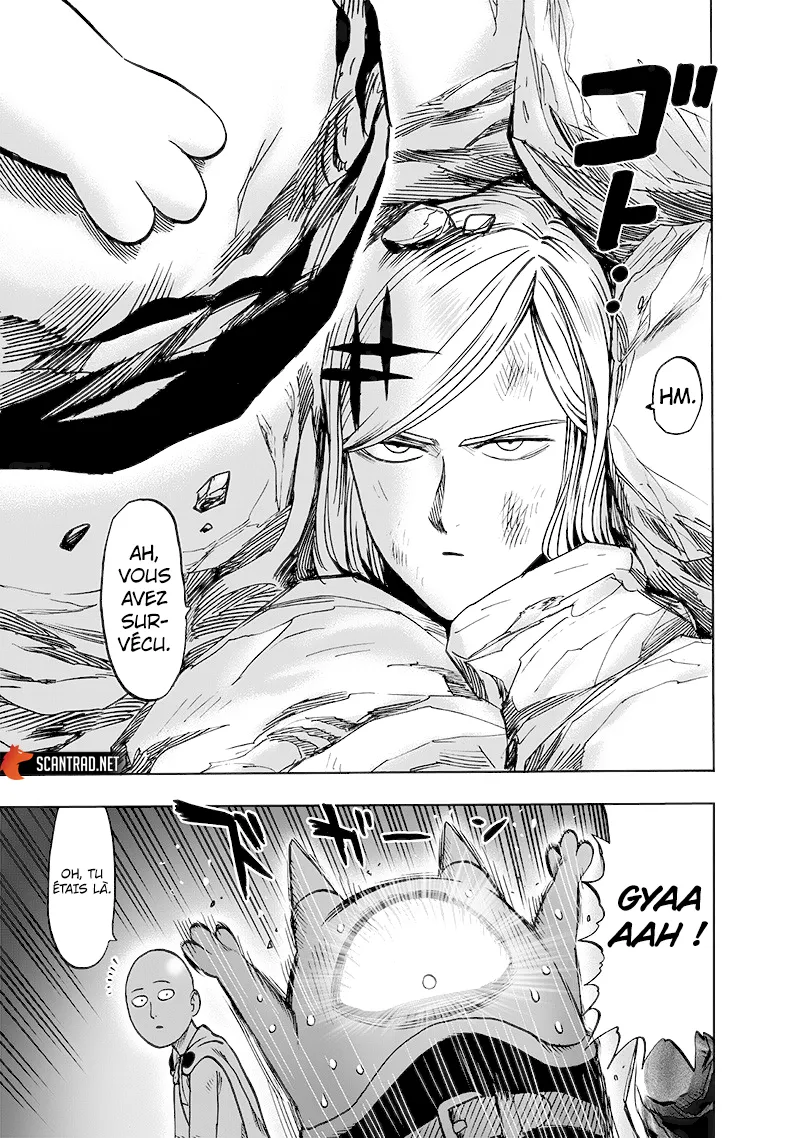 Read One-Punch Man FR Manga Online