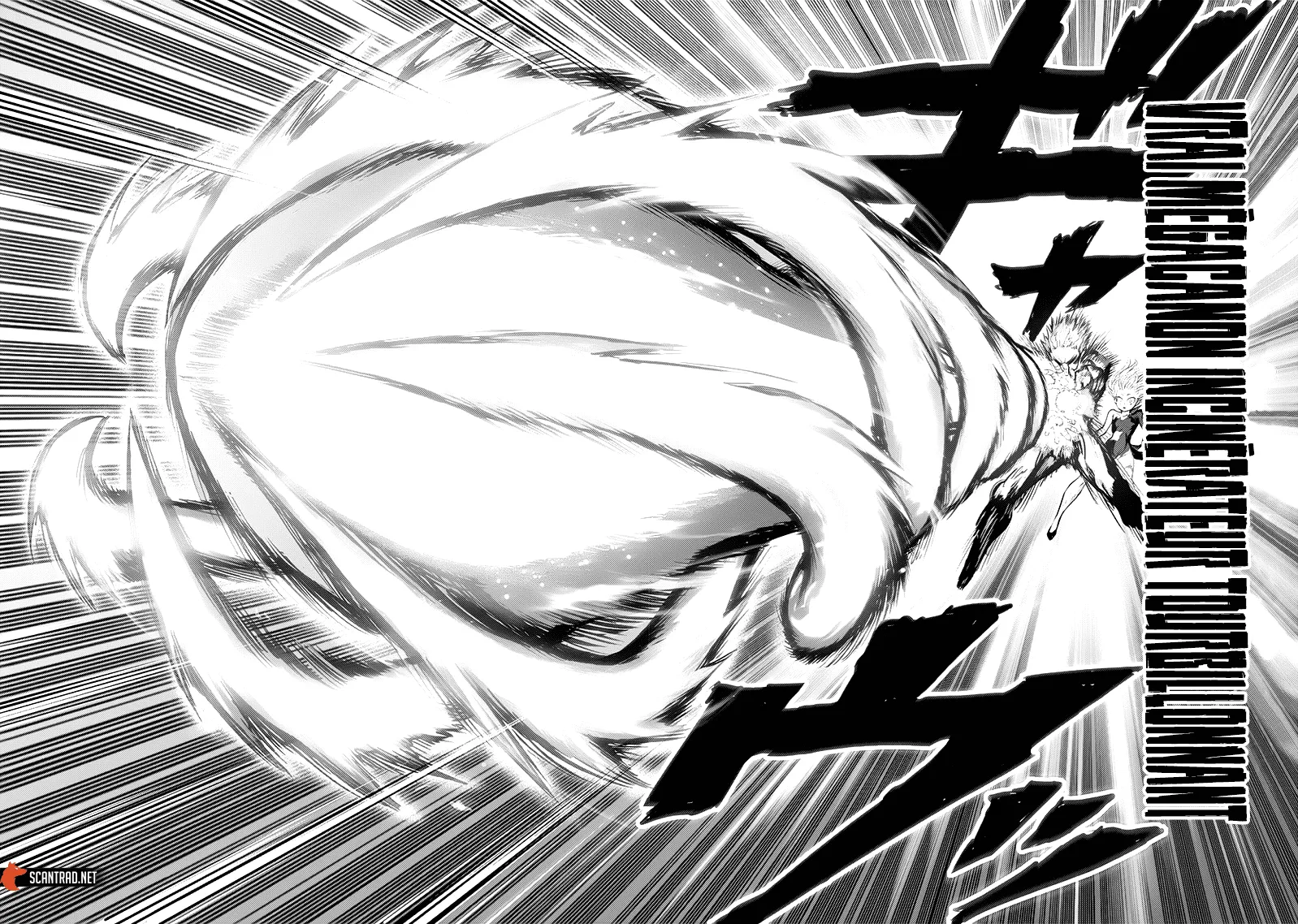 Read One-Punch Man FR Manga Online