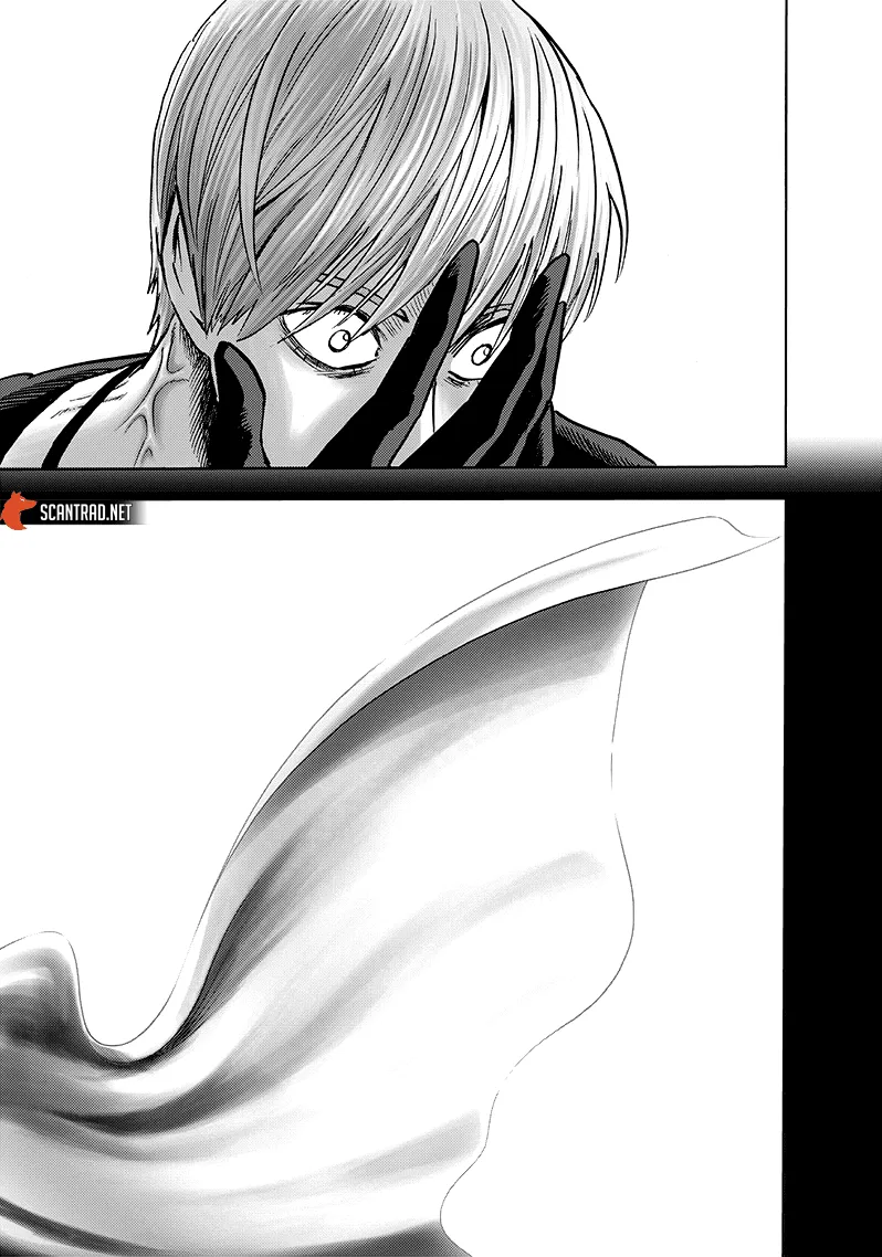 Read One-Punch Man FR Manga Online