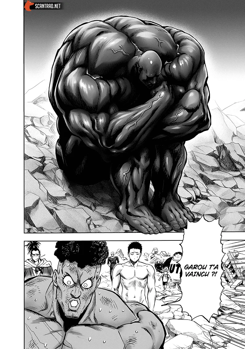 Read One-Punch Man FR Manga Online