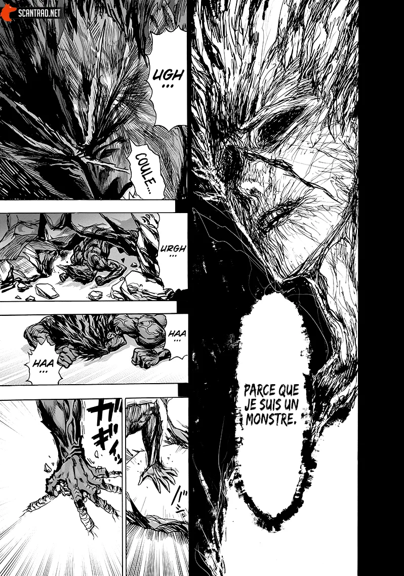 Read One-Punch Man FR Manga Online