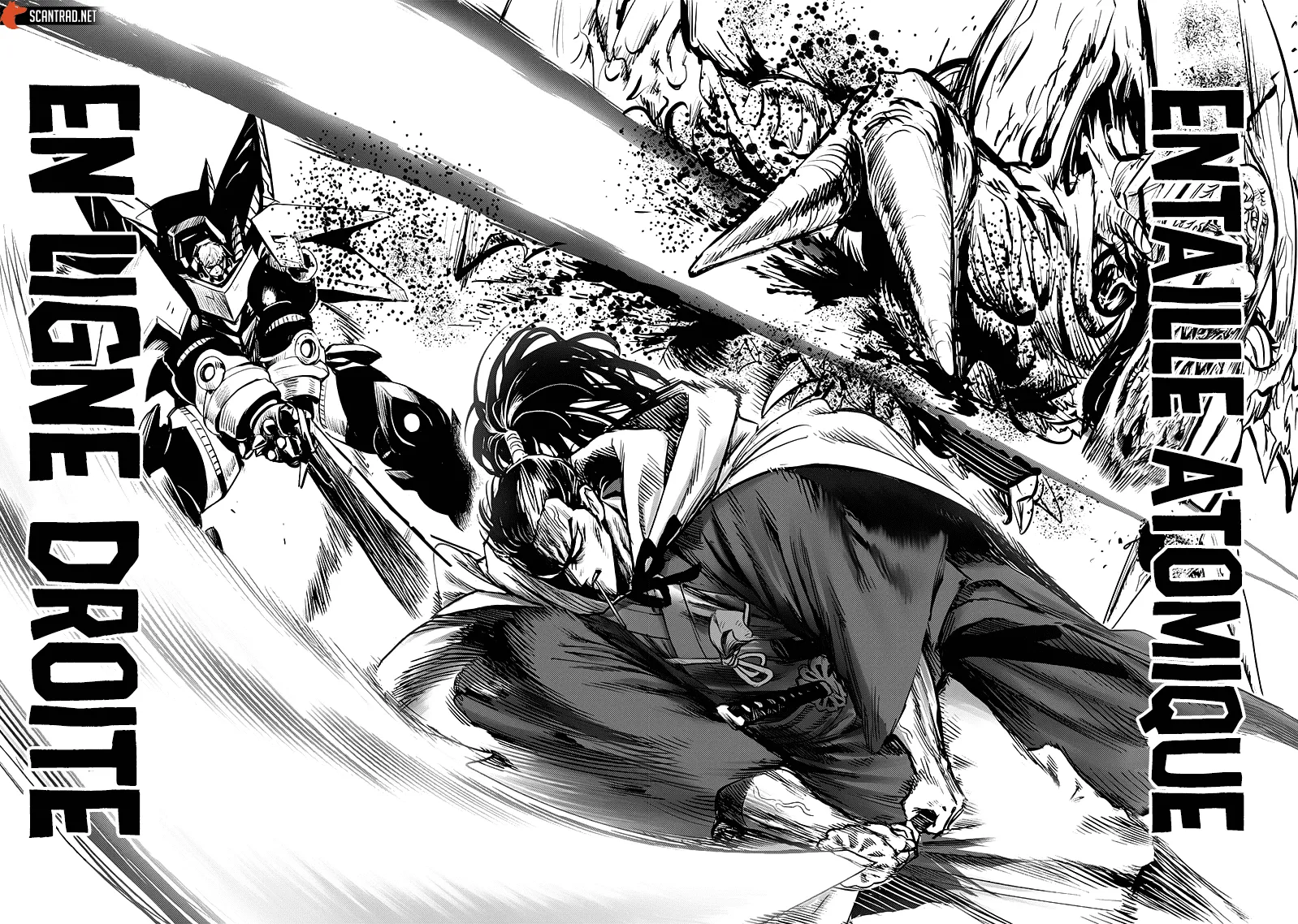 Read One-Punch Man FR Manga Online
