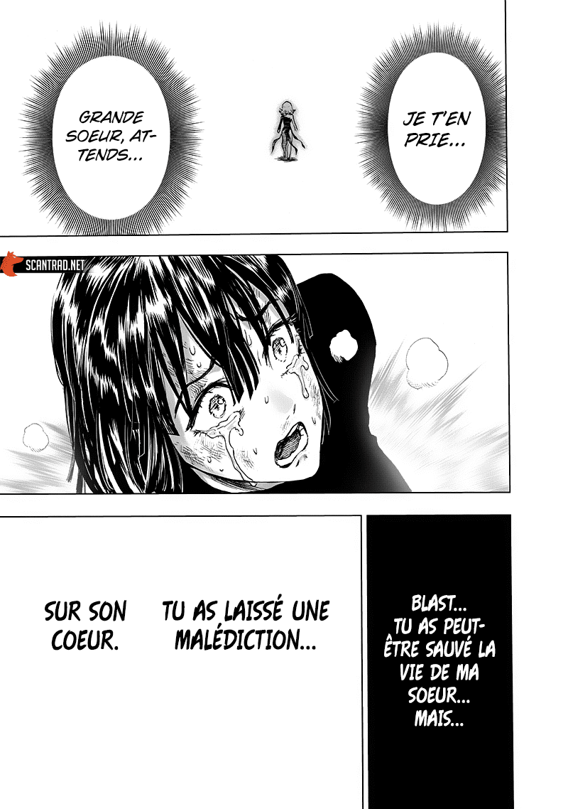 Read One-Punch Man FR Manga Online