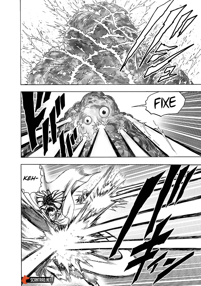 Read One-Punch Man FR Manga Online