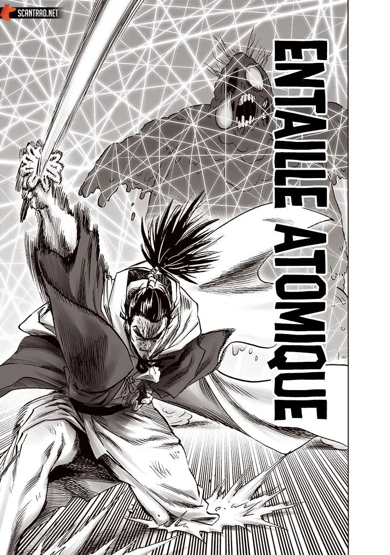 Read One-Punch Man FR Manga Online