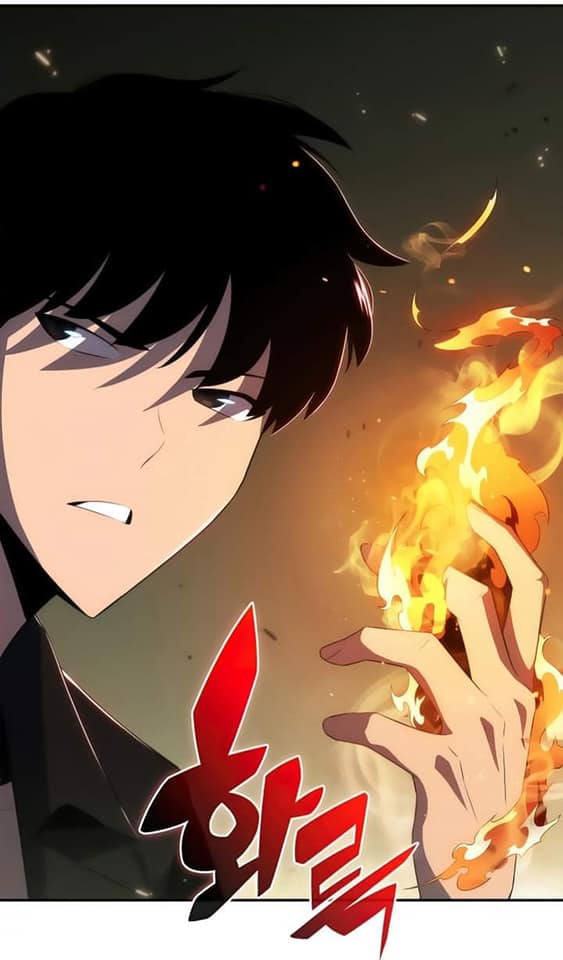 Read Solo Max-Level Newbie FR Manga Online