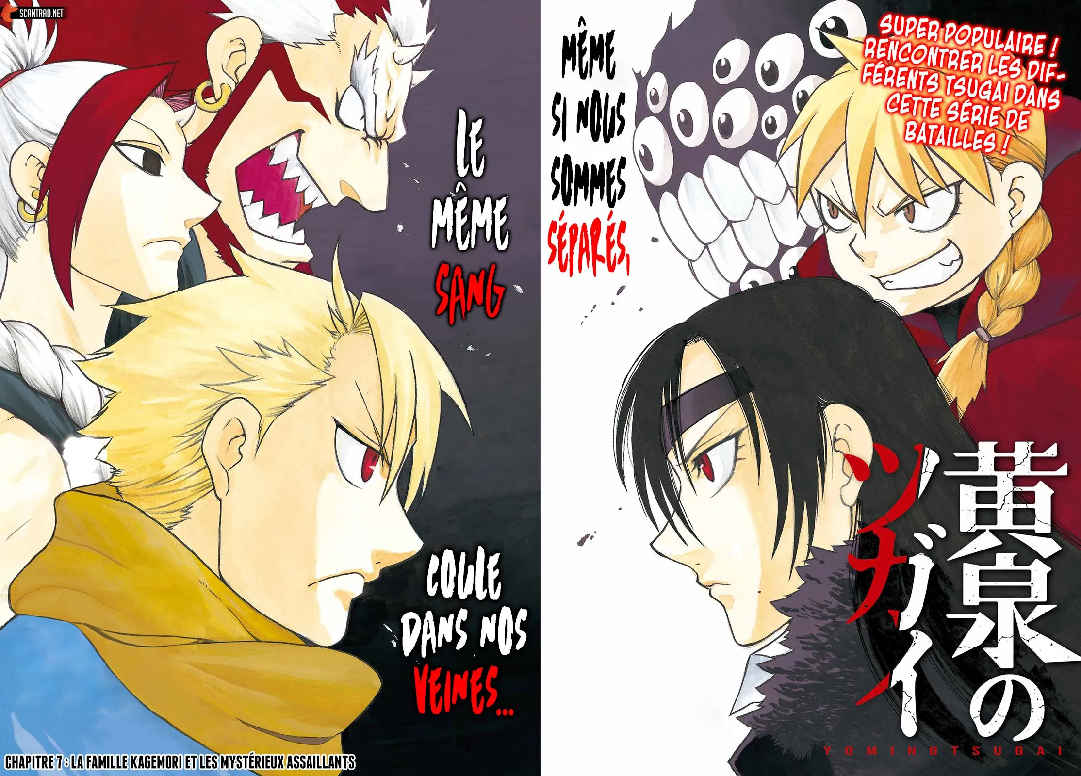 Read Yomi No Tsugai FR Manga Online