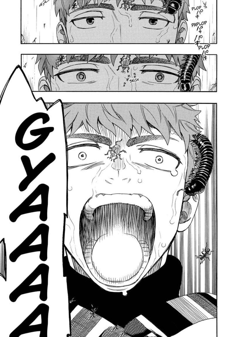 Read Ao no Exorcist IT Manga Online