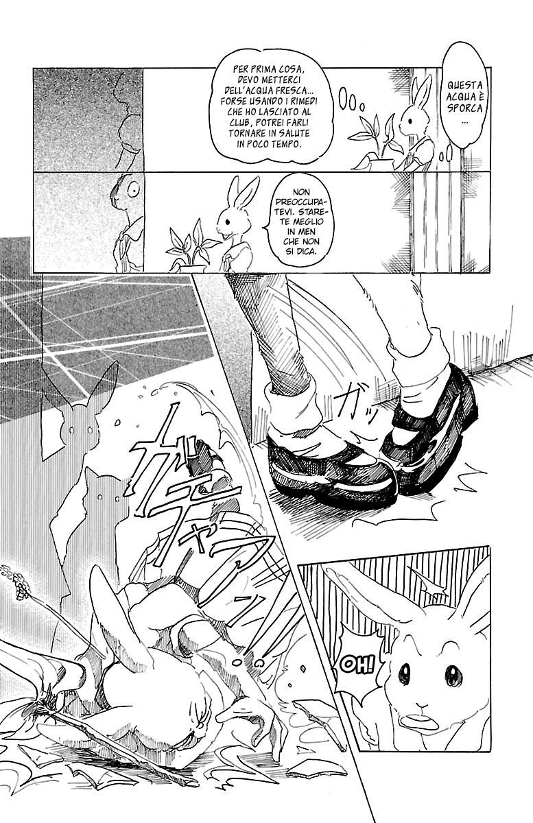 Read Beastars IT Manga Online