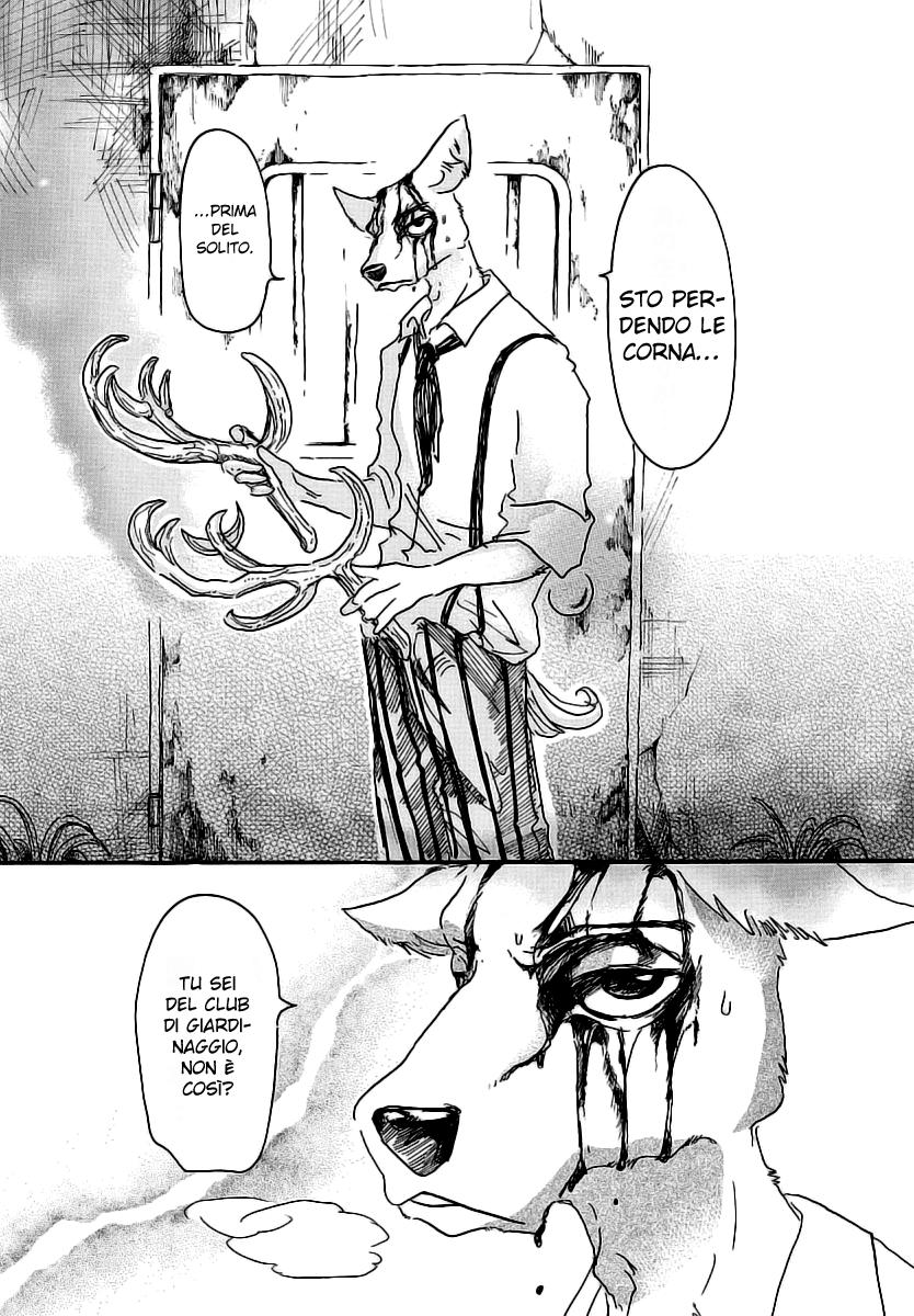 Read Beastars IT Manga Online