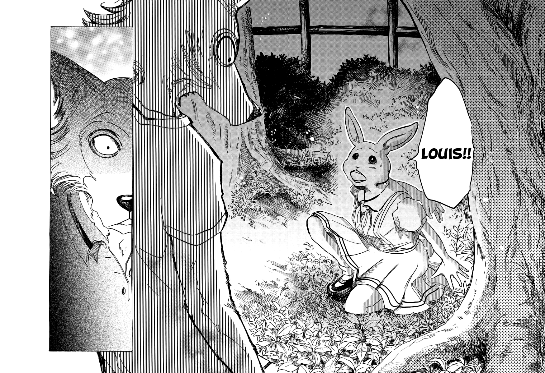 Read Beastars IT Manga Online