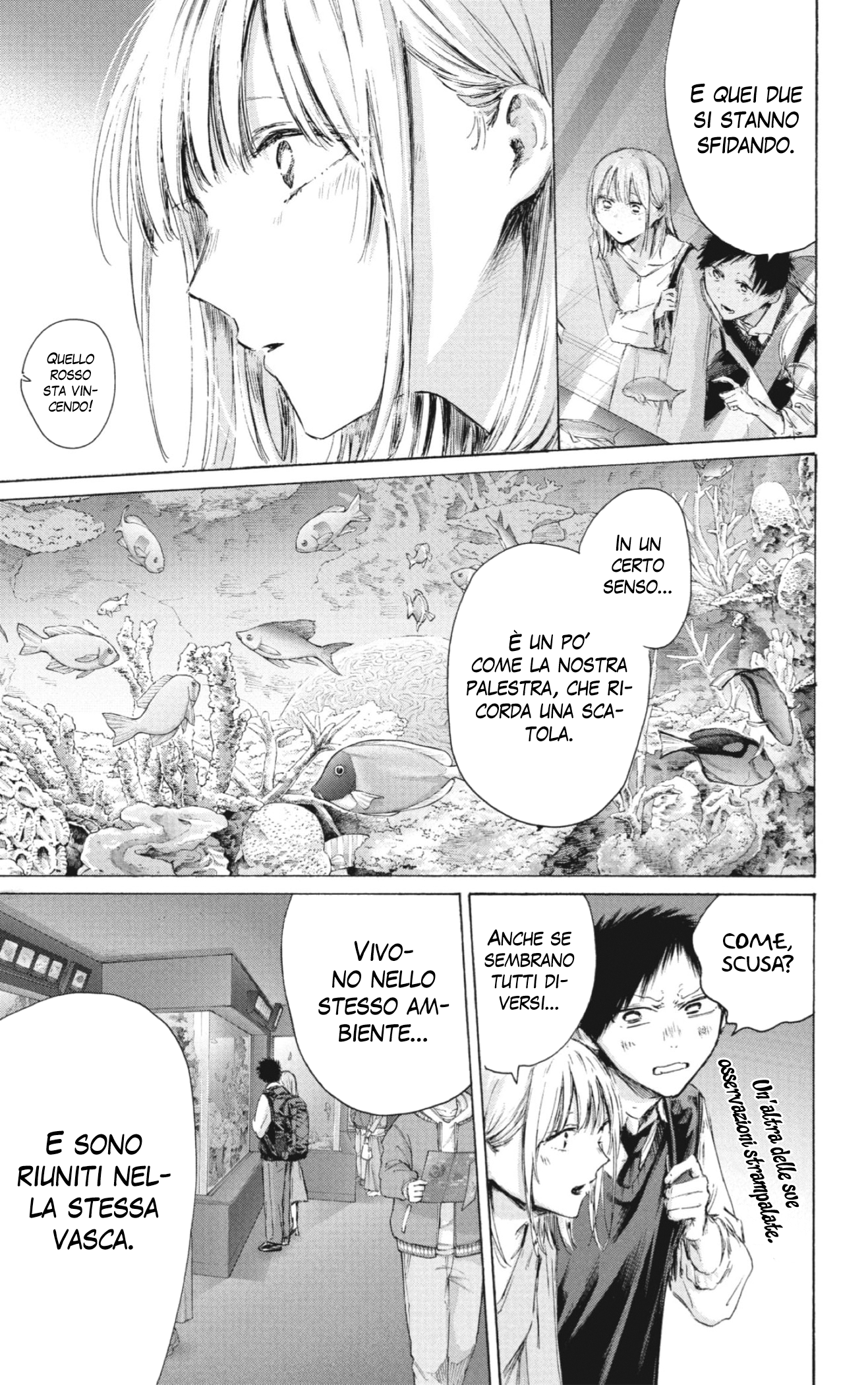 Read Blue Box IT Manga Online