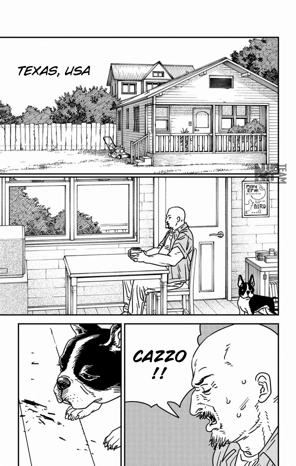 Read Chainsaw Man IT Manga Online