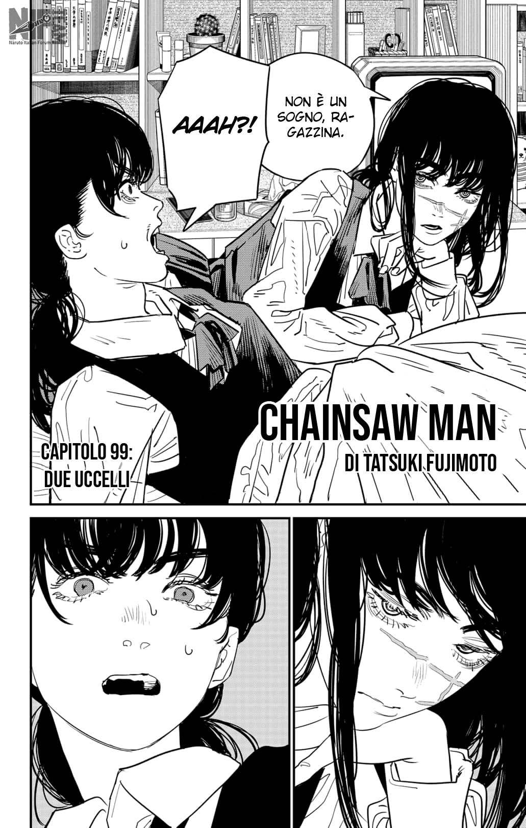Read Chainsaw Man IT Manga Online