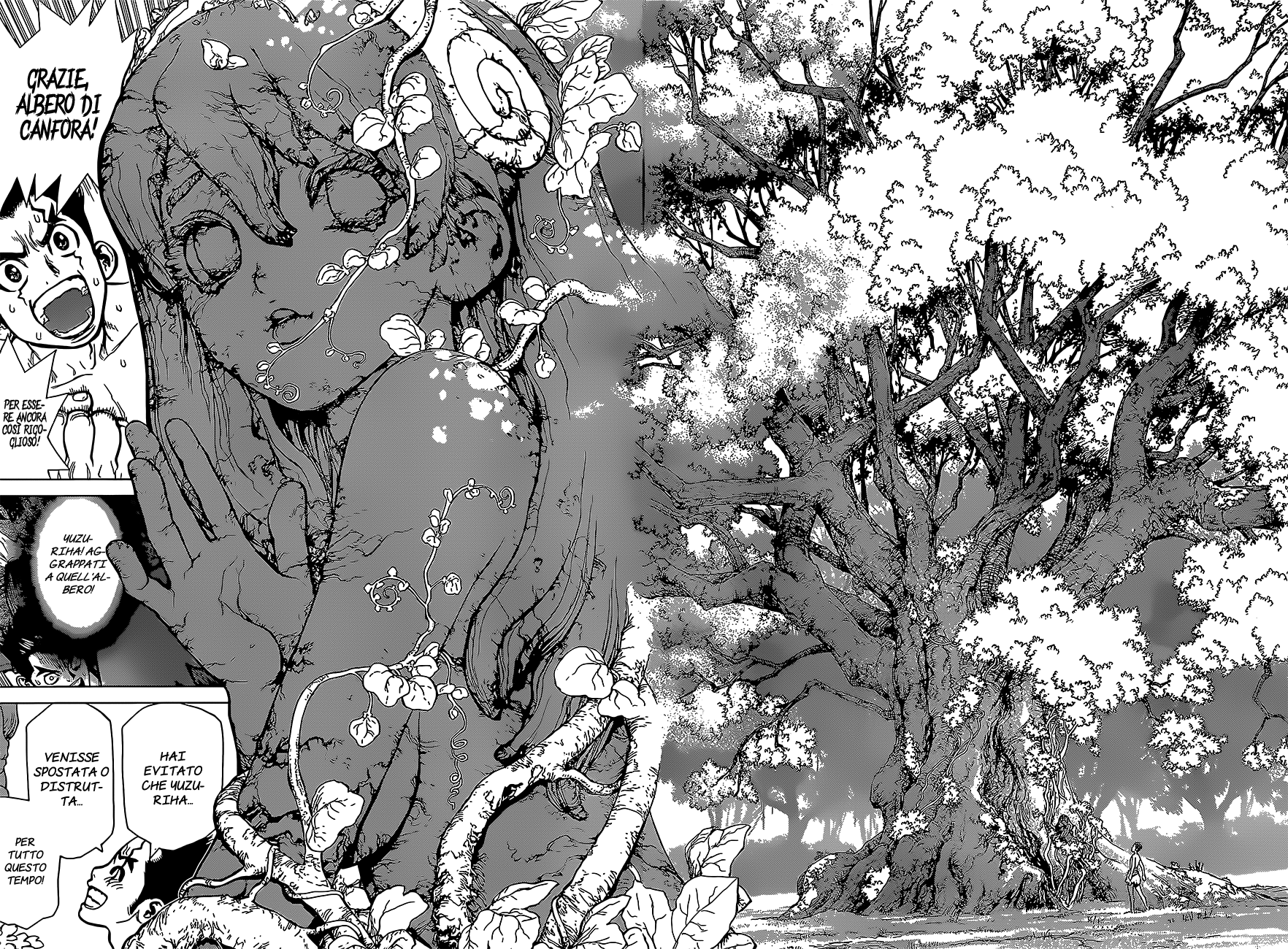 Read Dr. Stone IT Manga Online