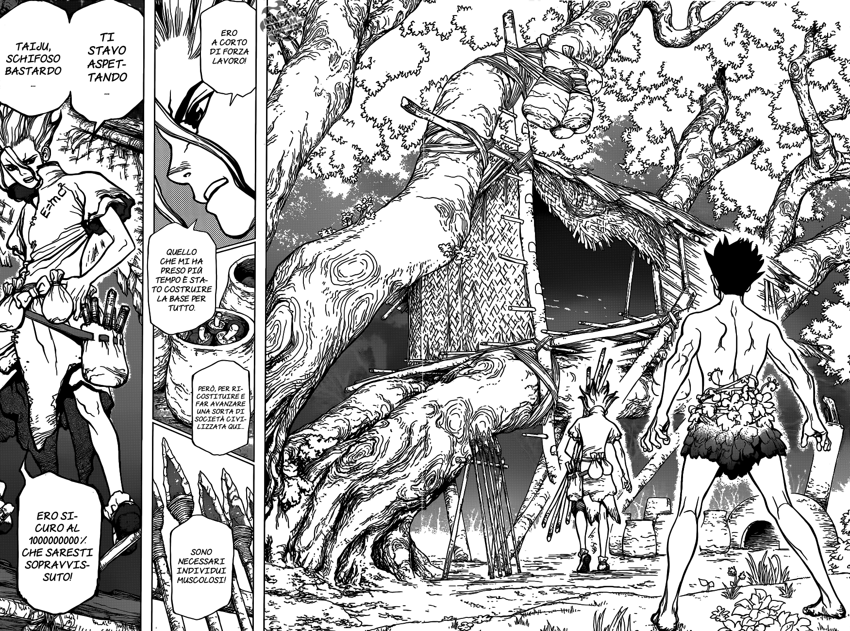 Read Dr. Stone IT Manga Online